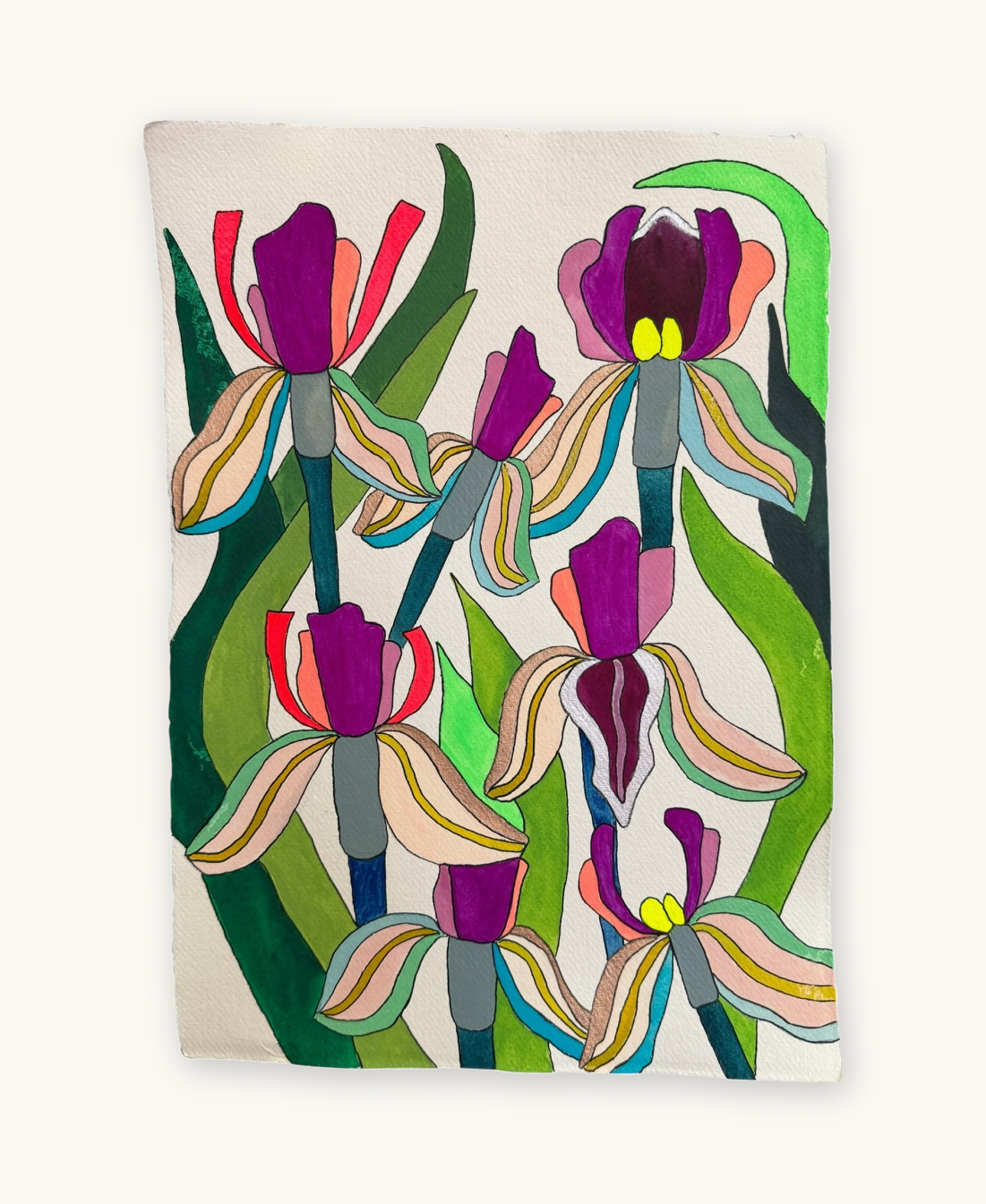 Iris studies on paper