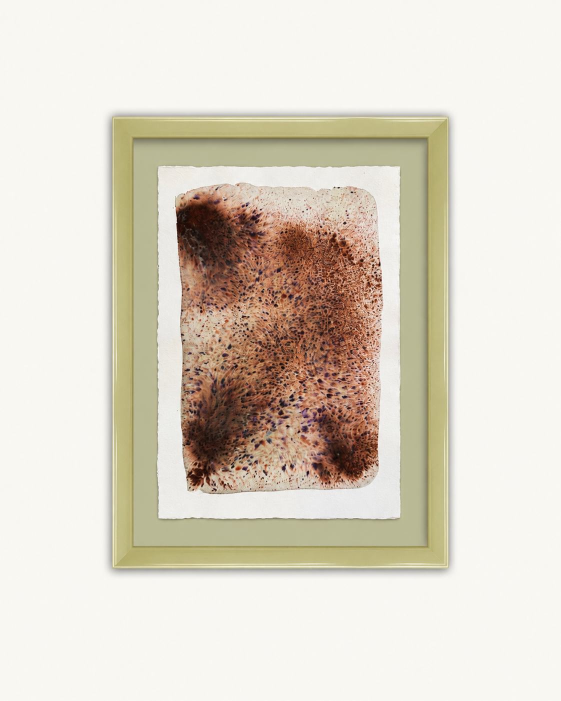 Dye study 7