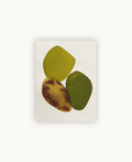 Small Stones 5