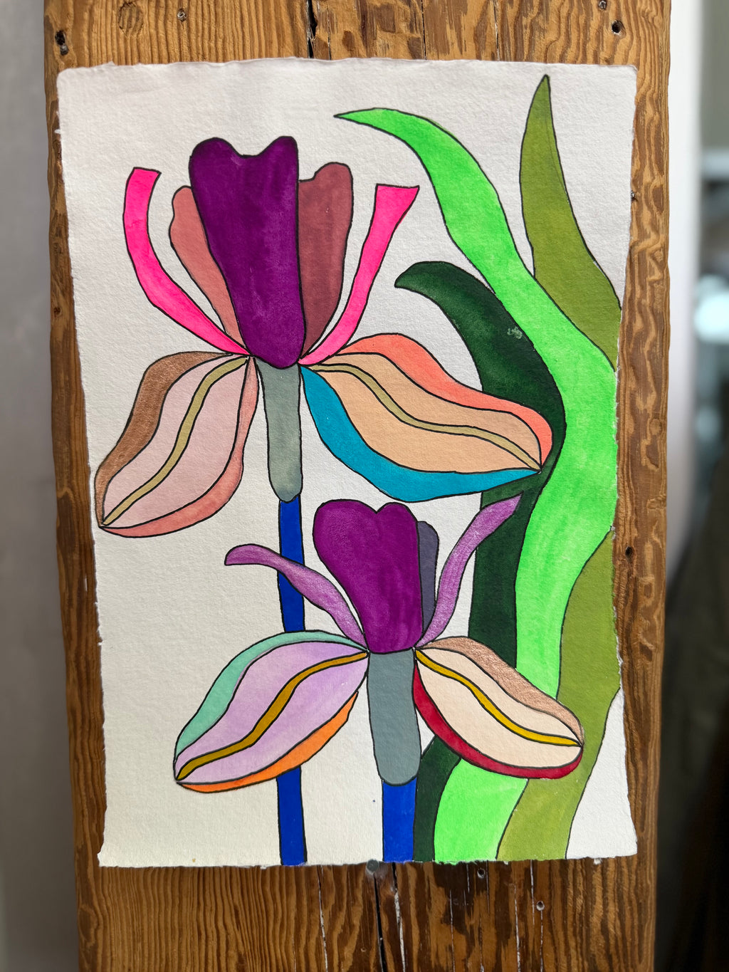 Medium Irises 1