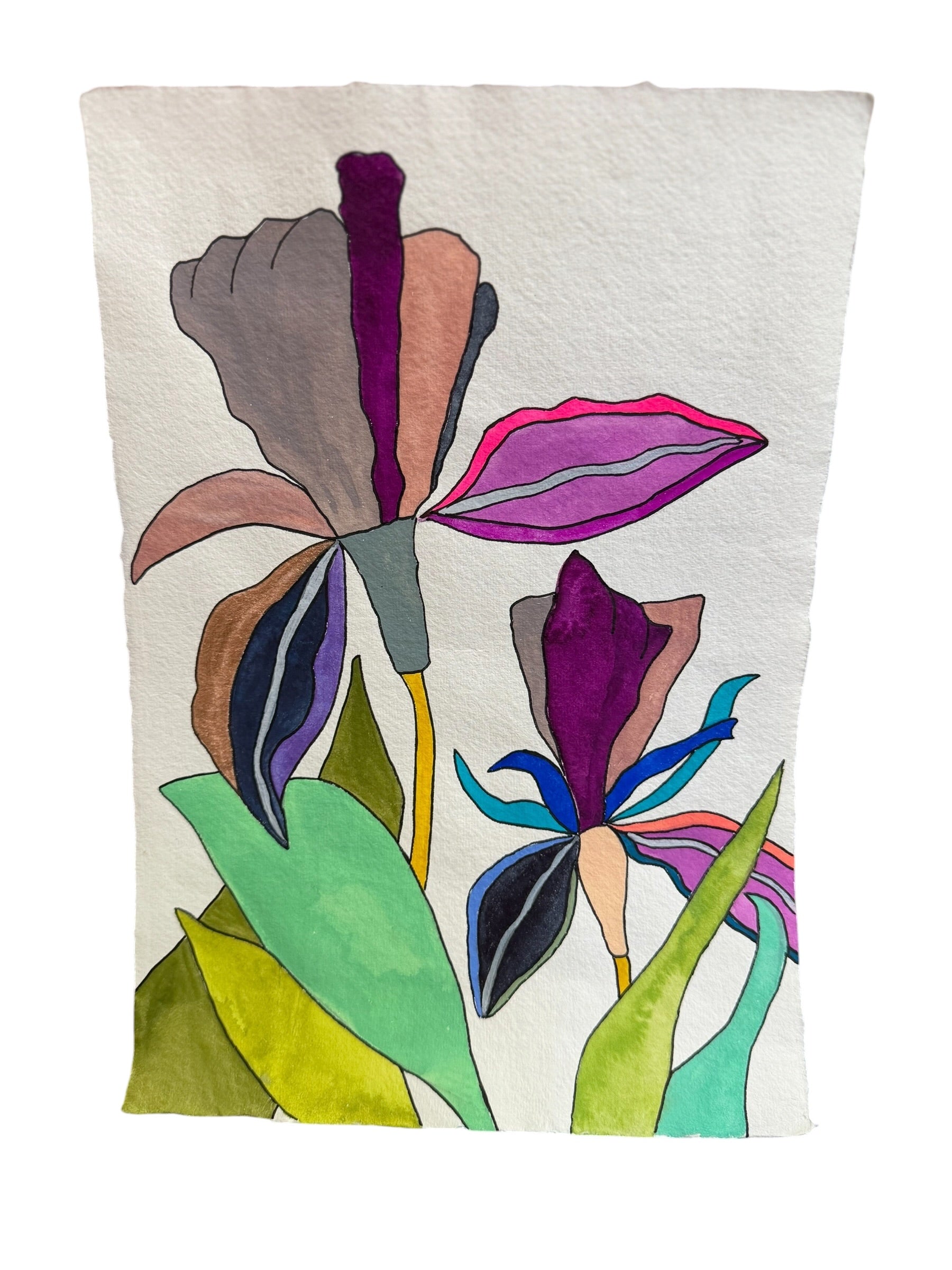 Medium Irises 2