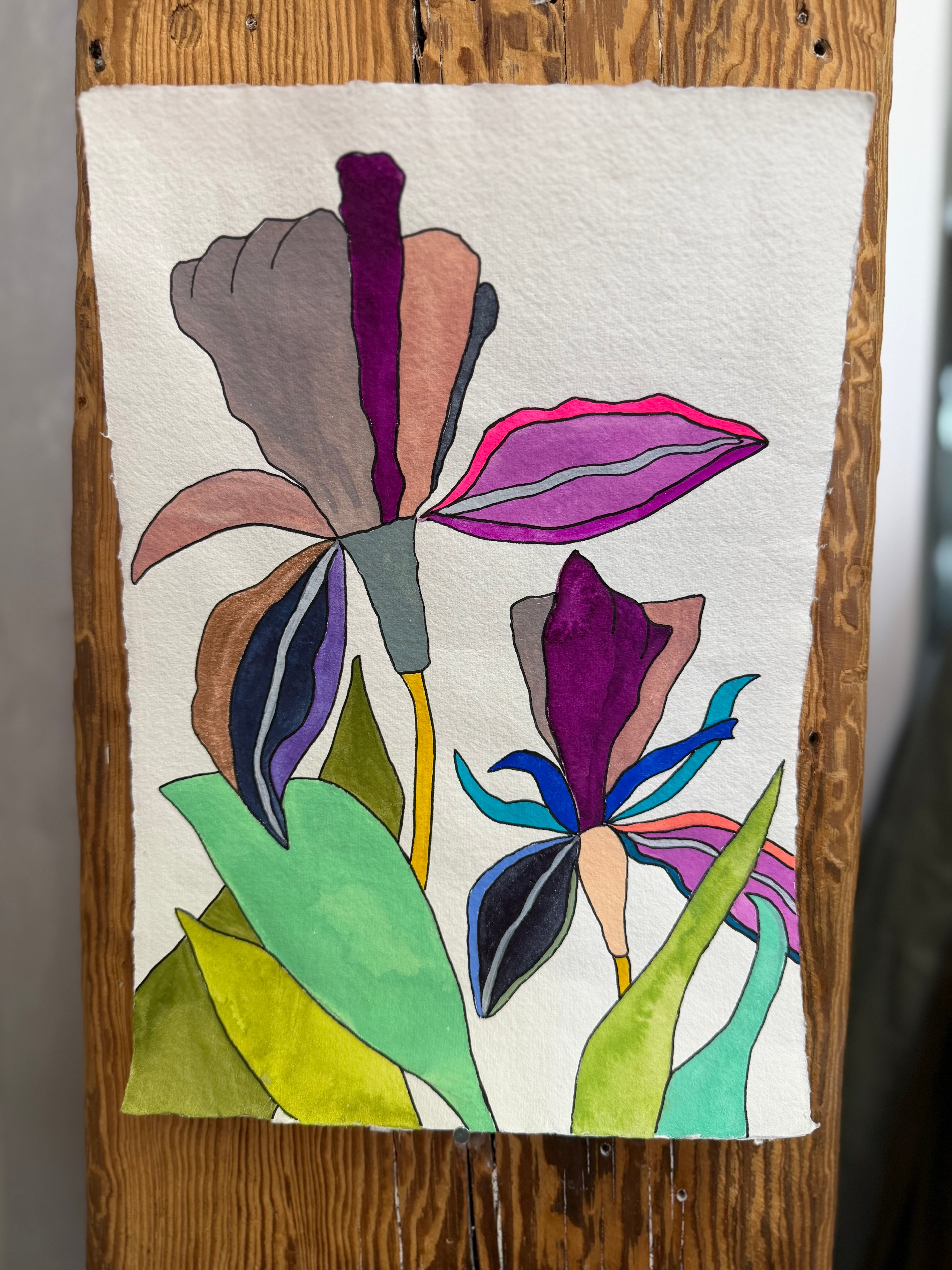 Medium Irises 2