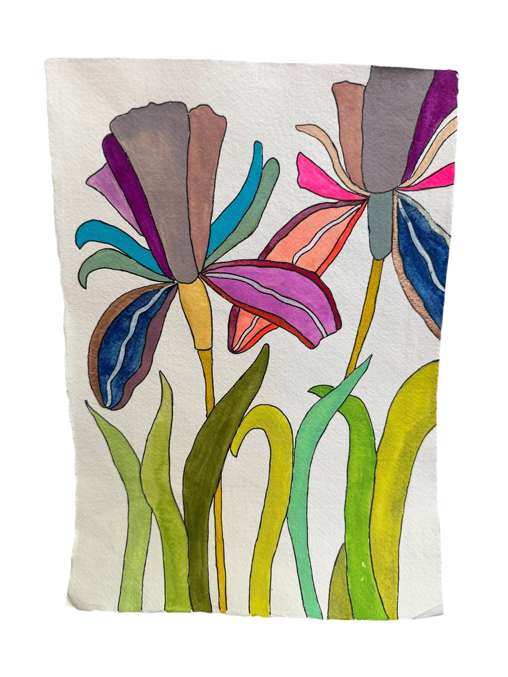 Medium Irises 3