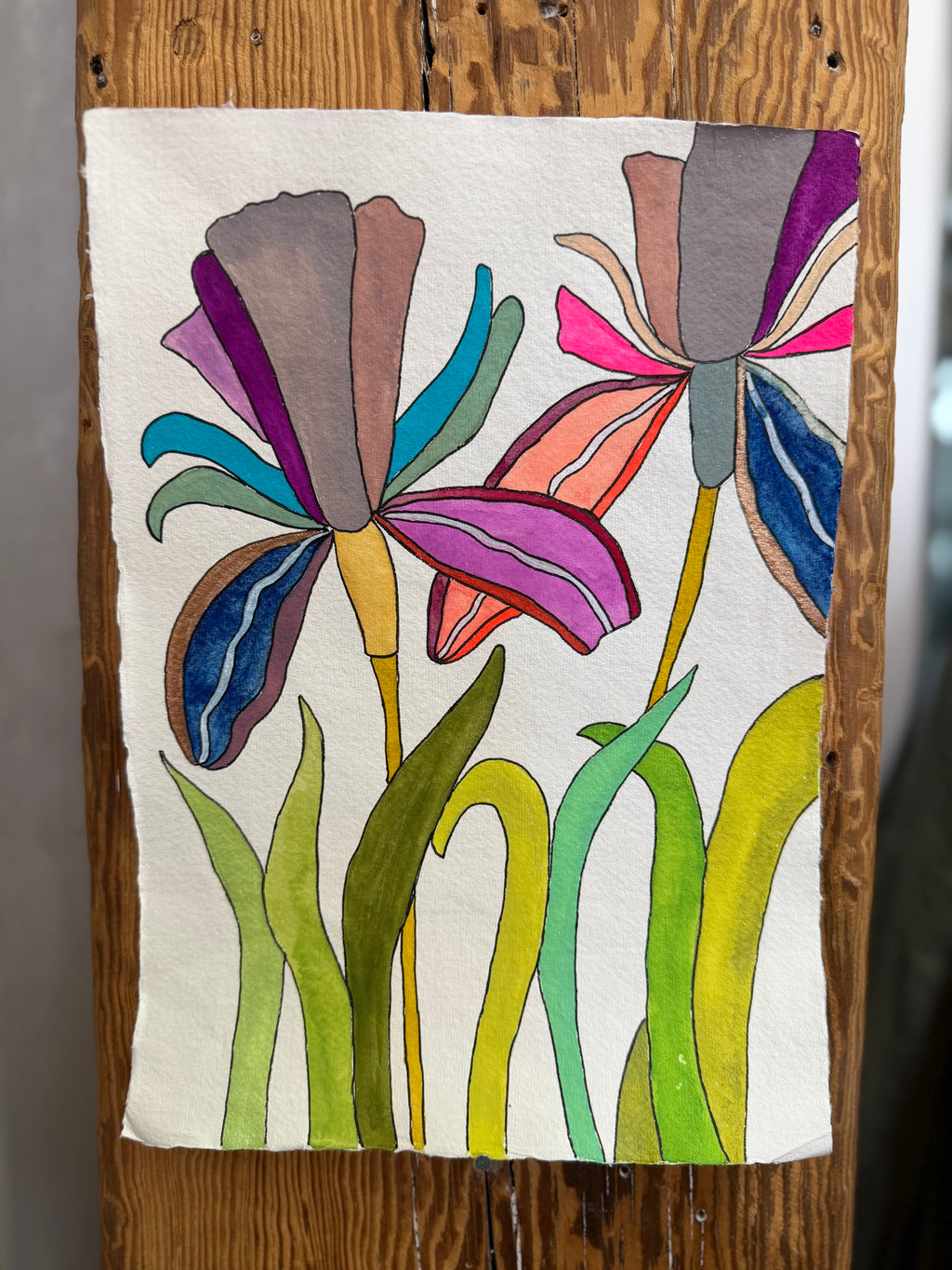 Medium Irises 3
