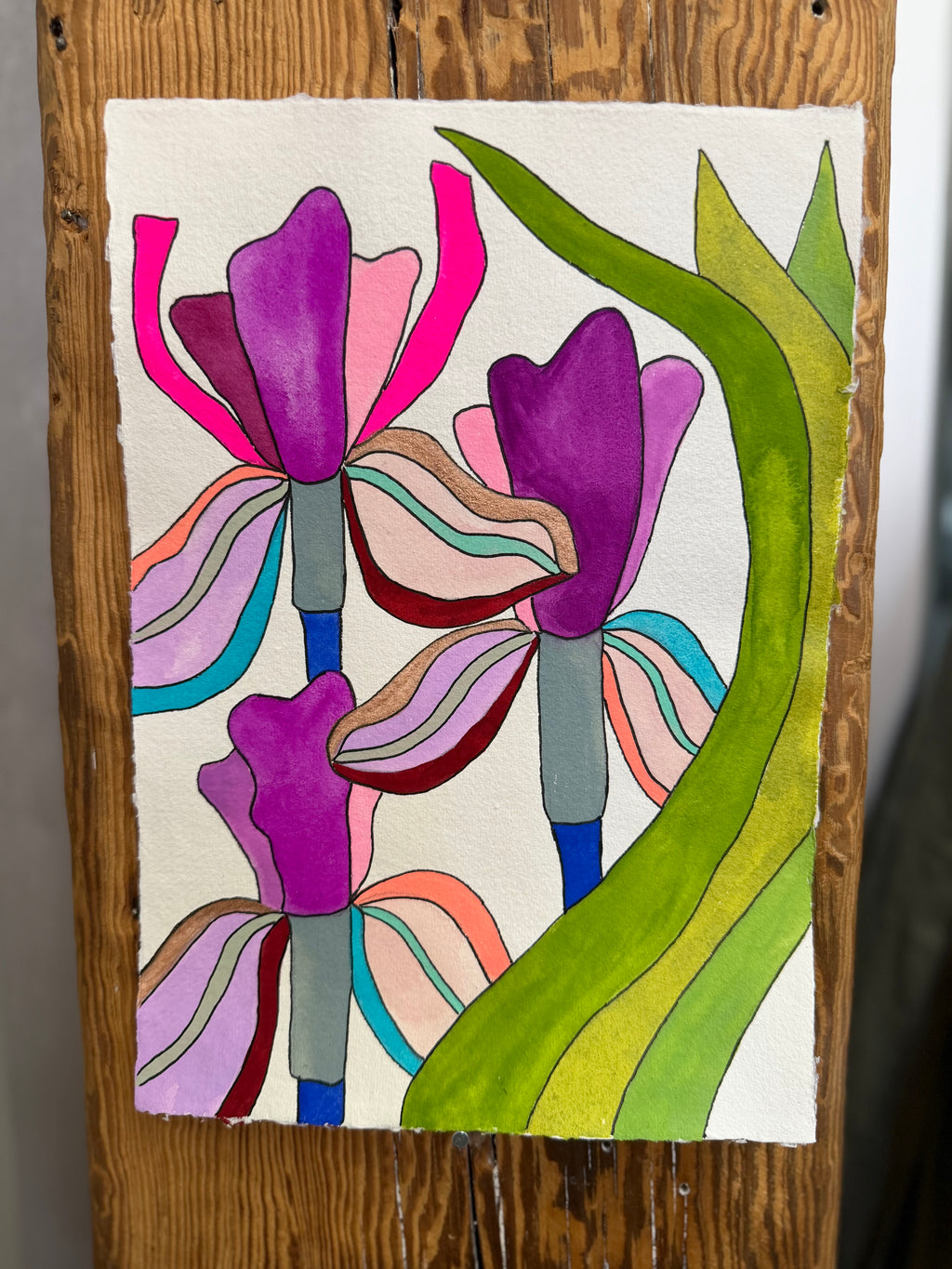 Medium Irises 4