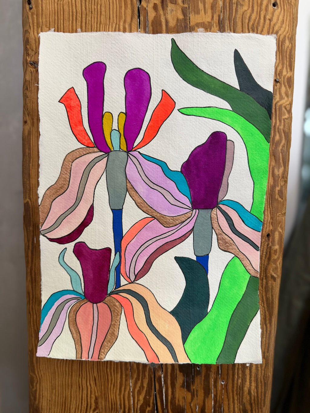 Medium Irises 13