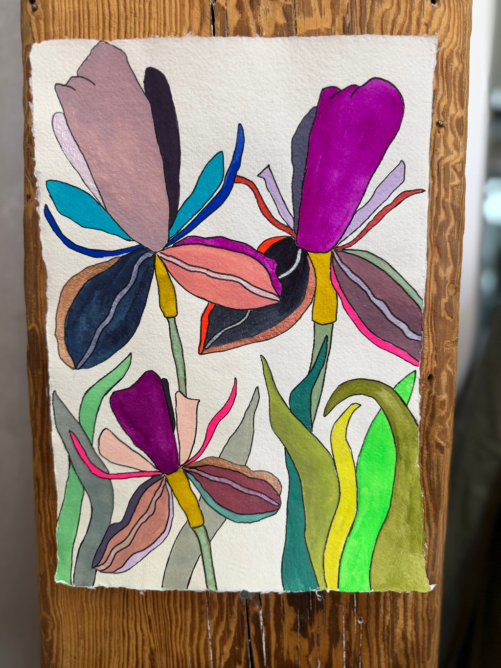 Medium Irises 11