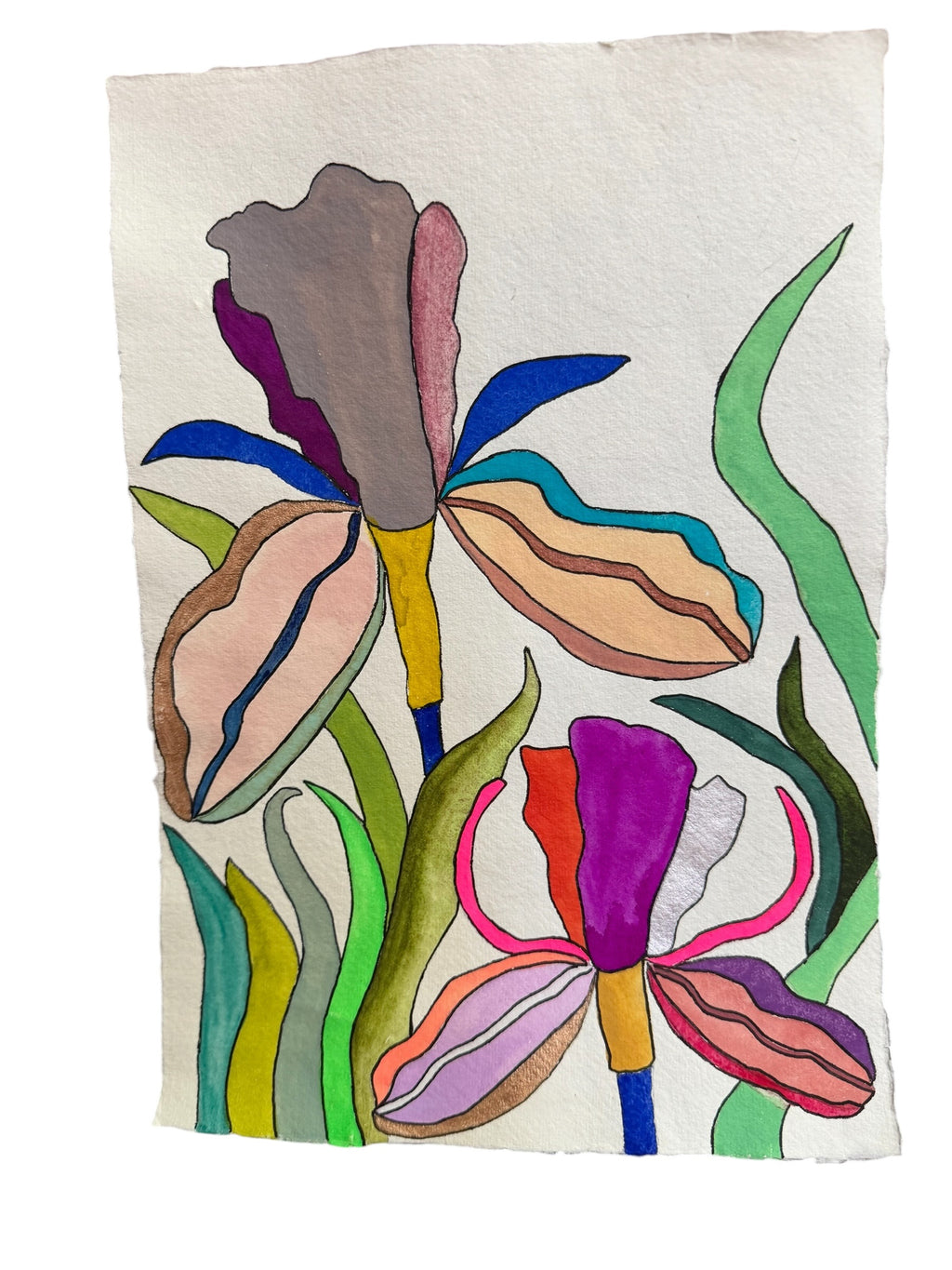 Medium Irises 9