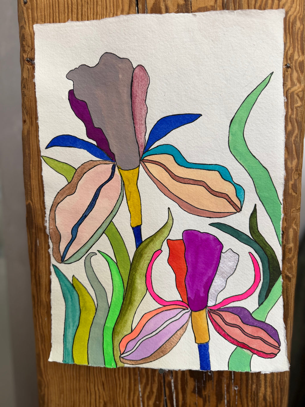 Medium Irises 9