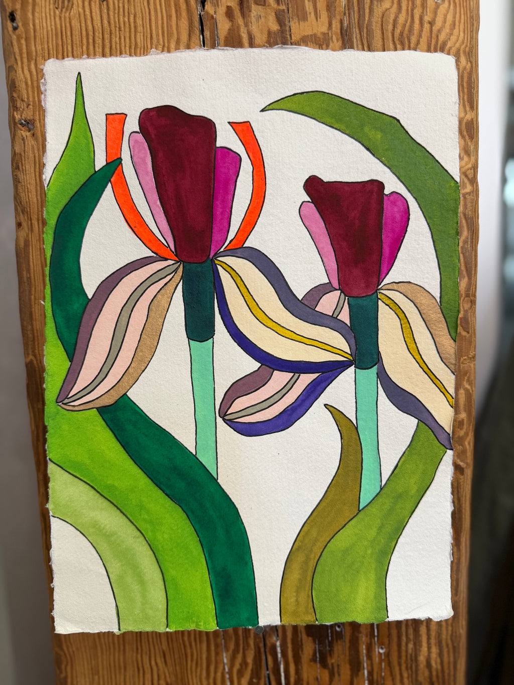 Medium Irises 5