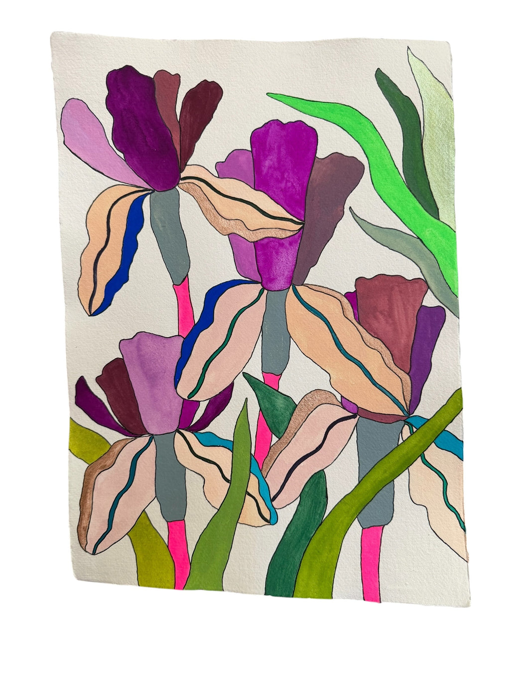 Large Irises 5