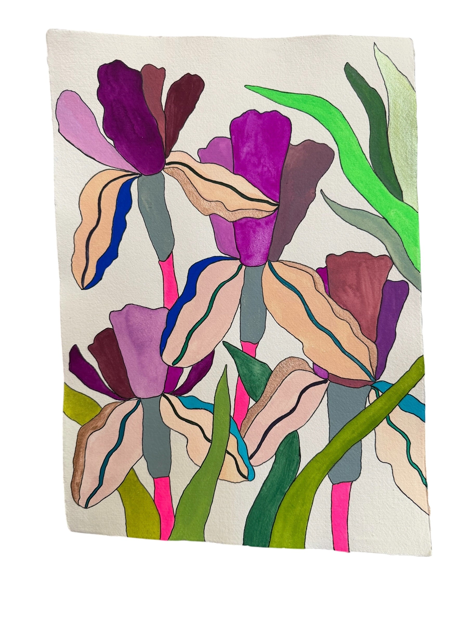 Large Irises 5