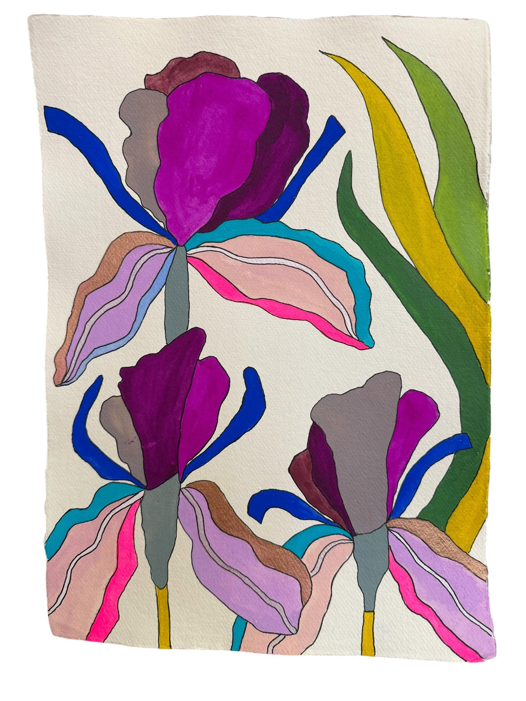 Large Irises 4