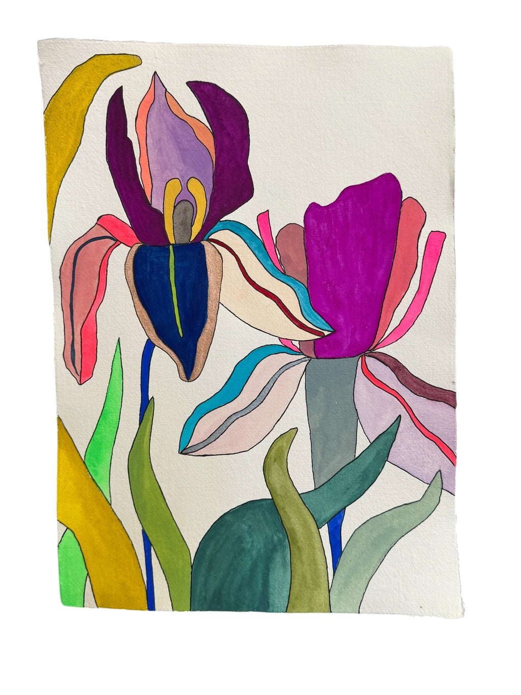 Large Irises 3