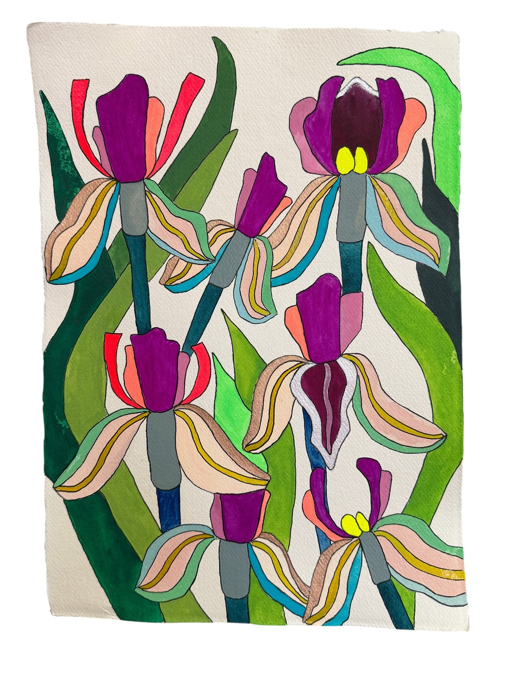 Large Irises 2