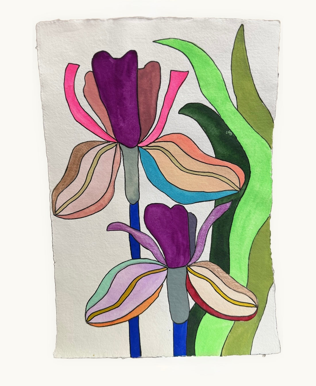 Medium Irises 1
