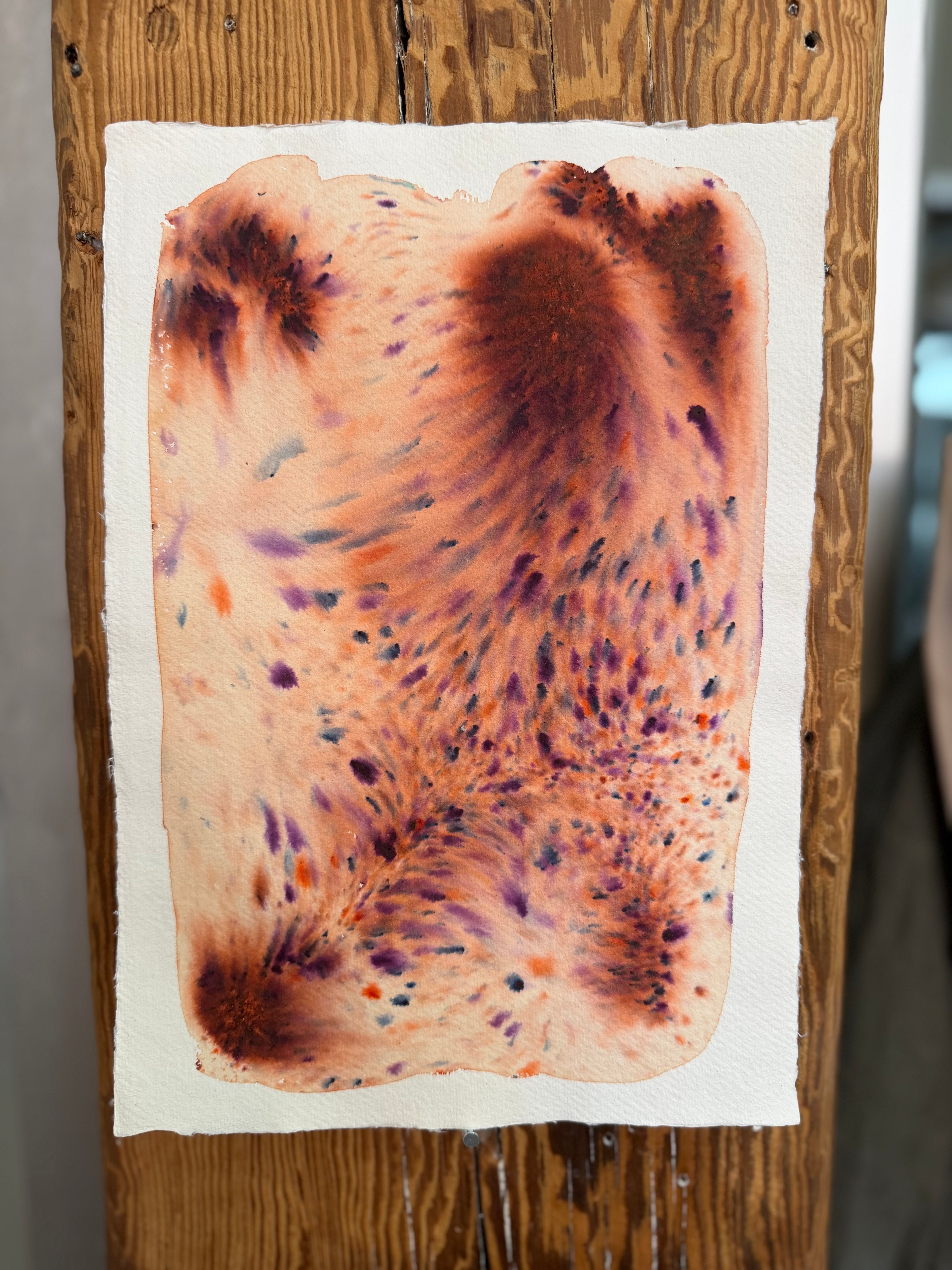 Dye study 4