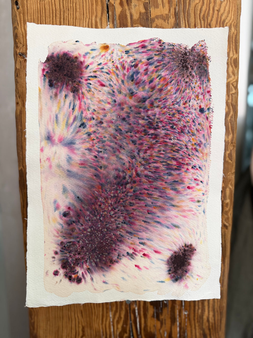 Dye study 5