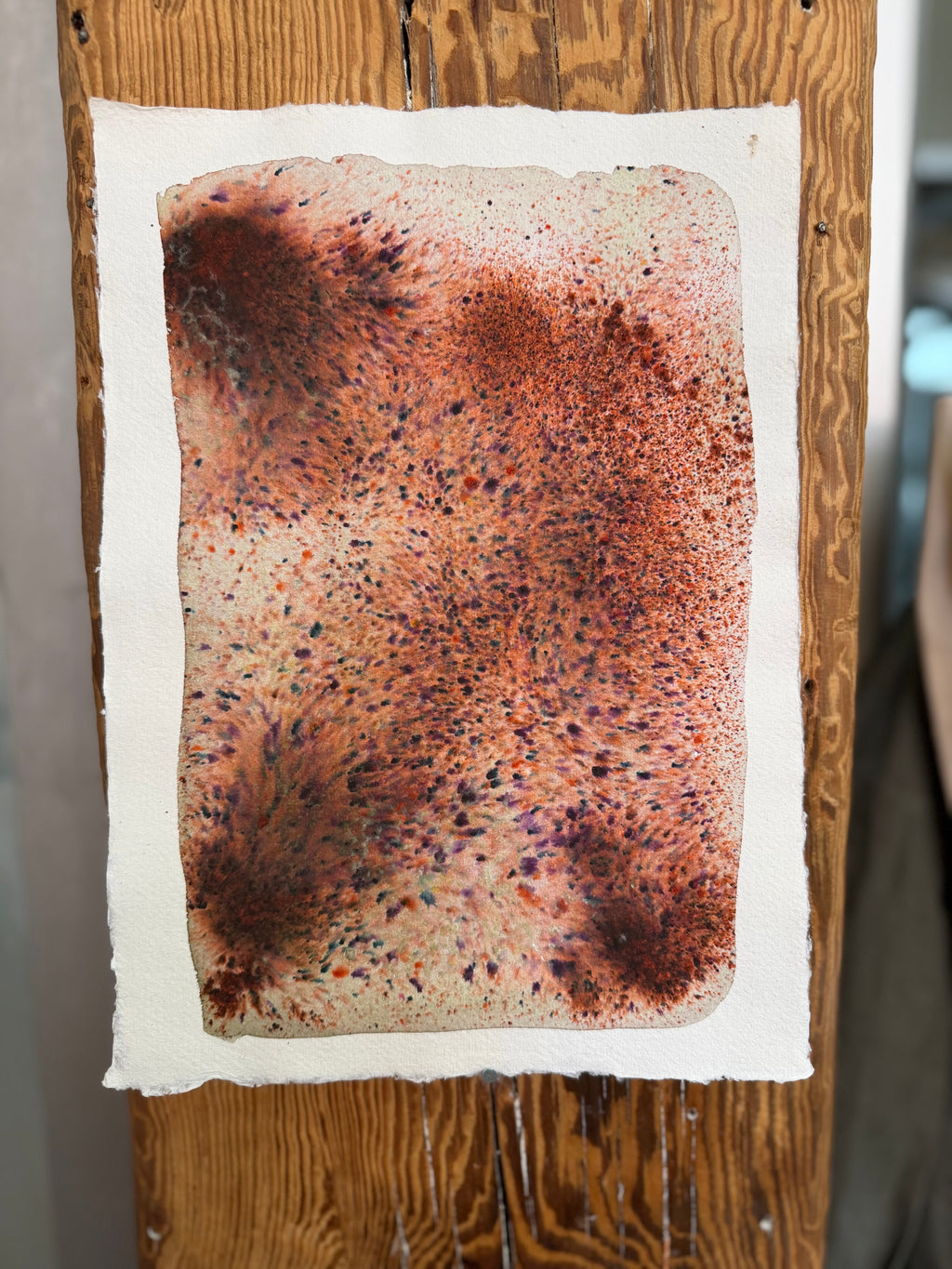 Dye study 7