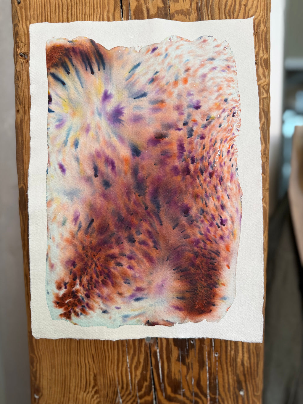 Dye study 8