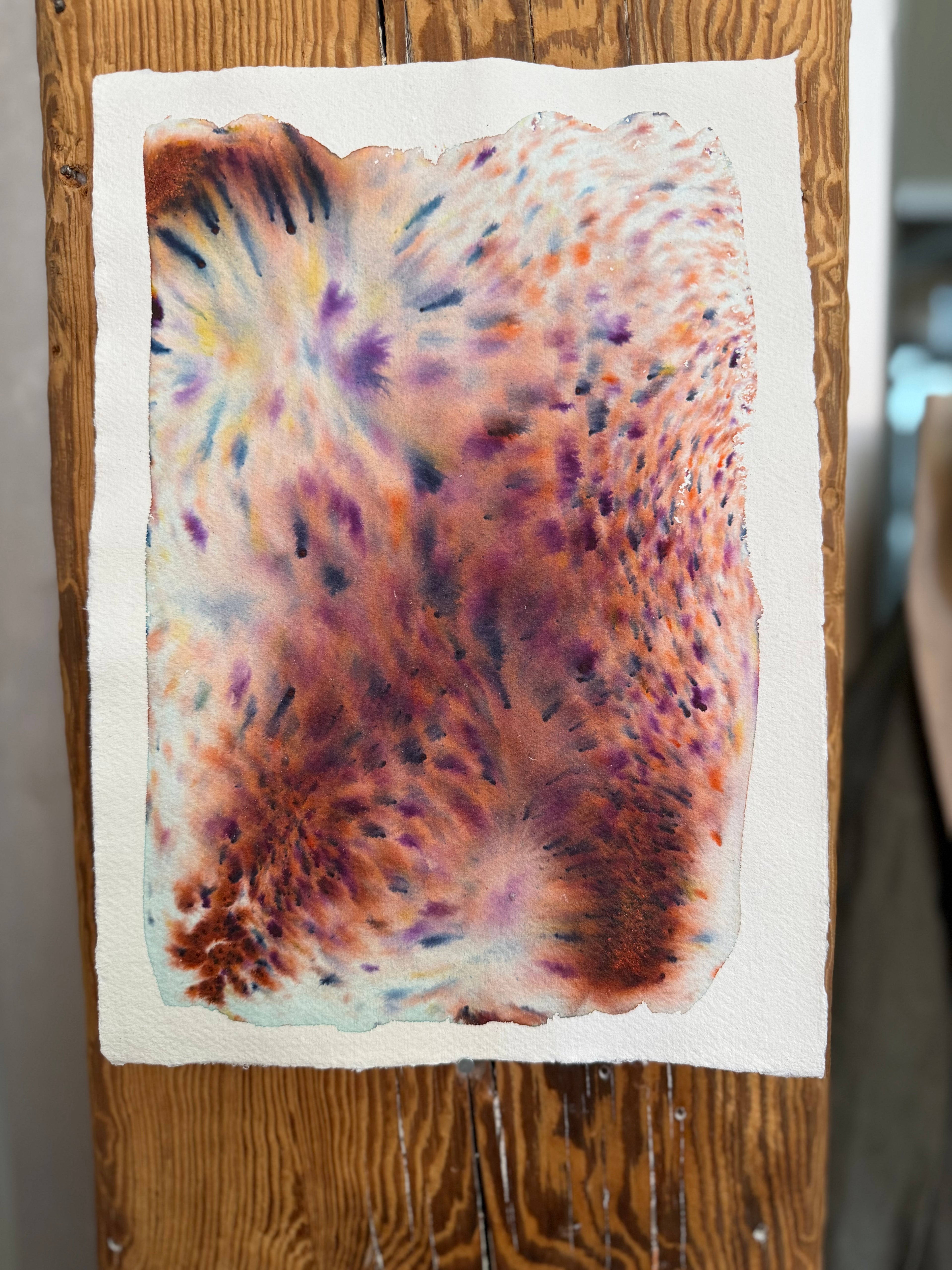 Dye study 8