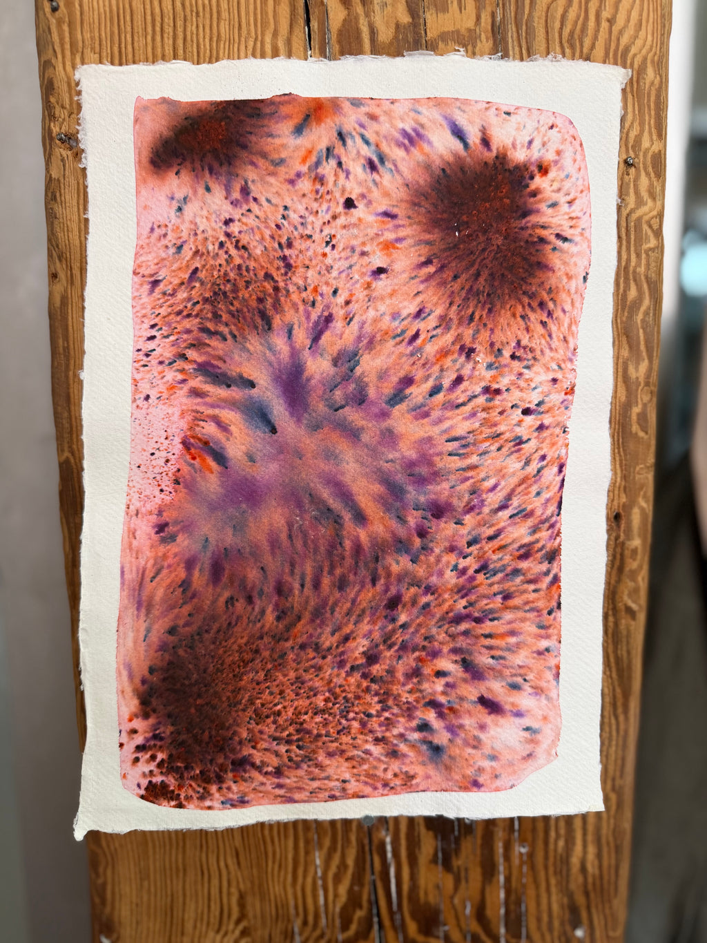 Dye study 9