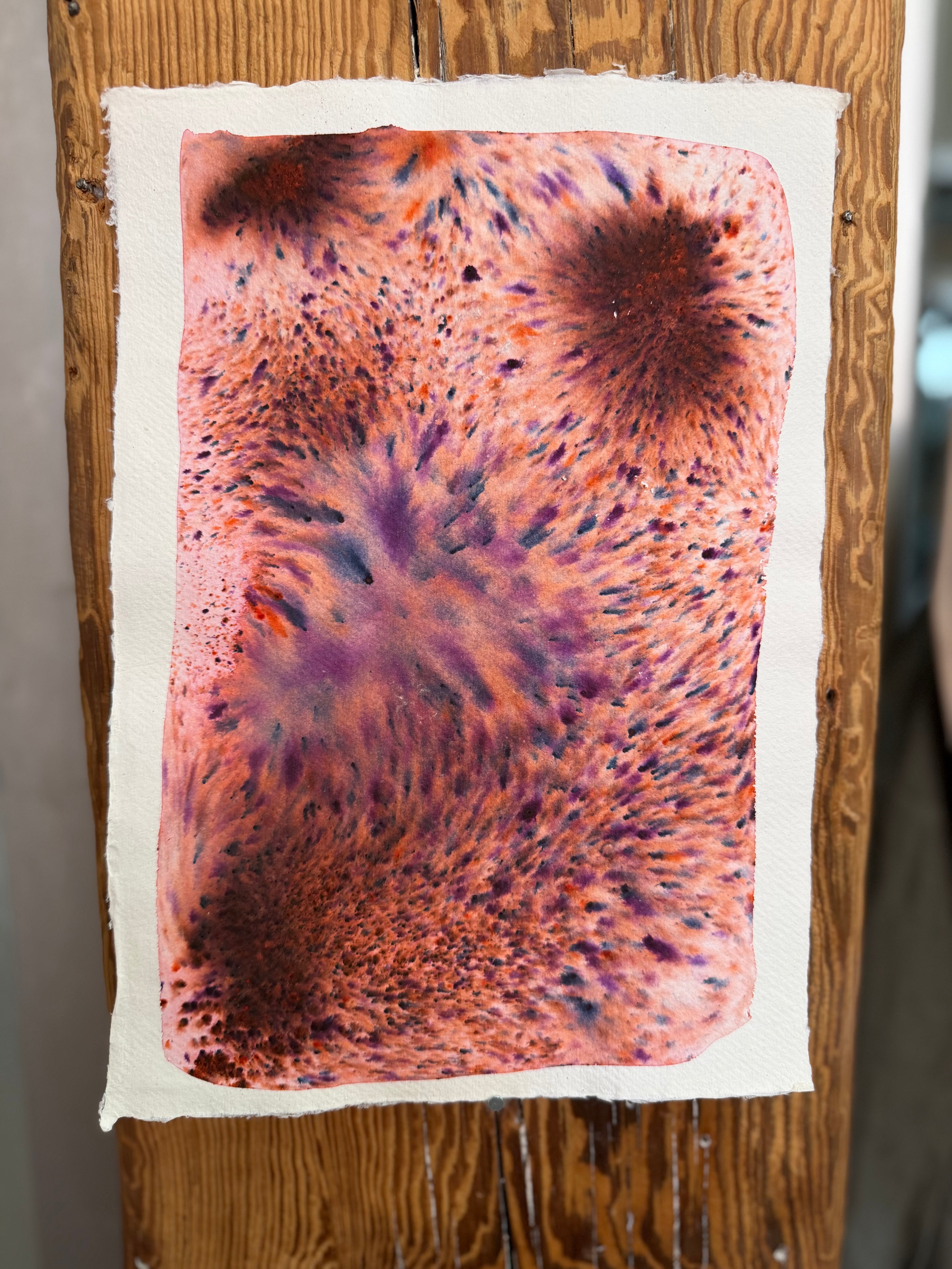 Dye study 9