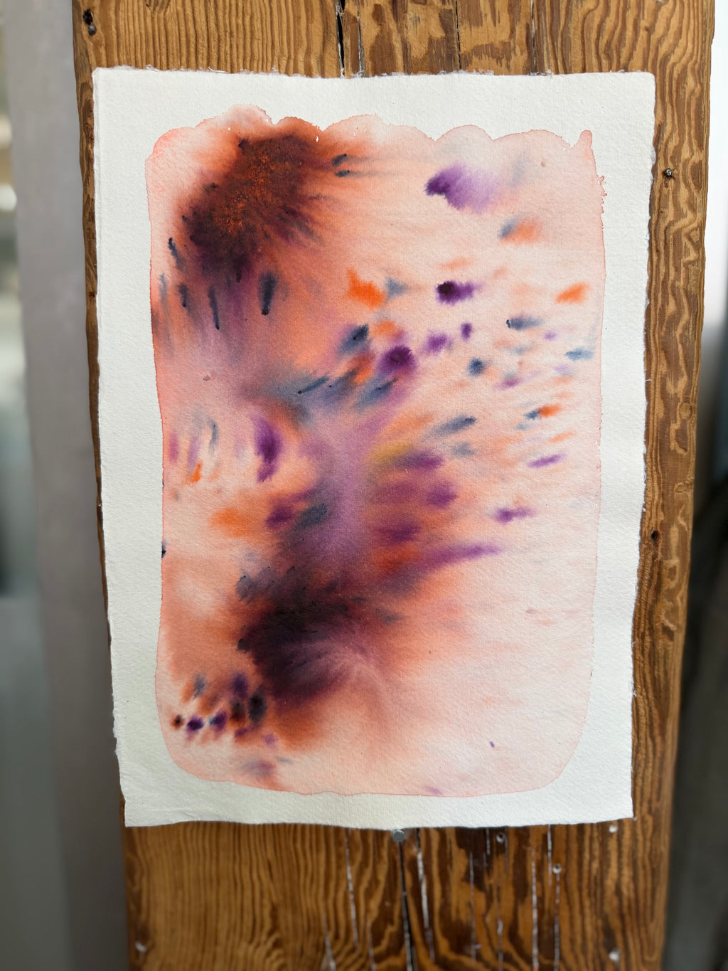 Dye study 11