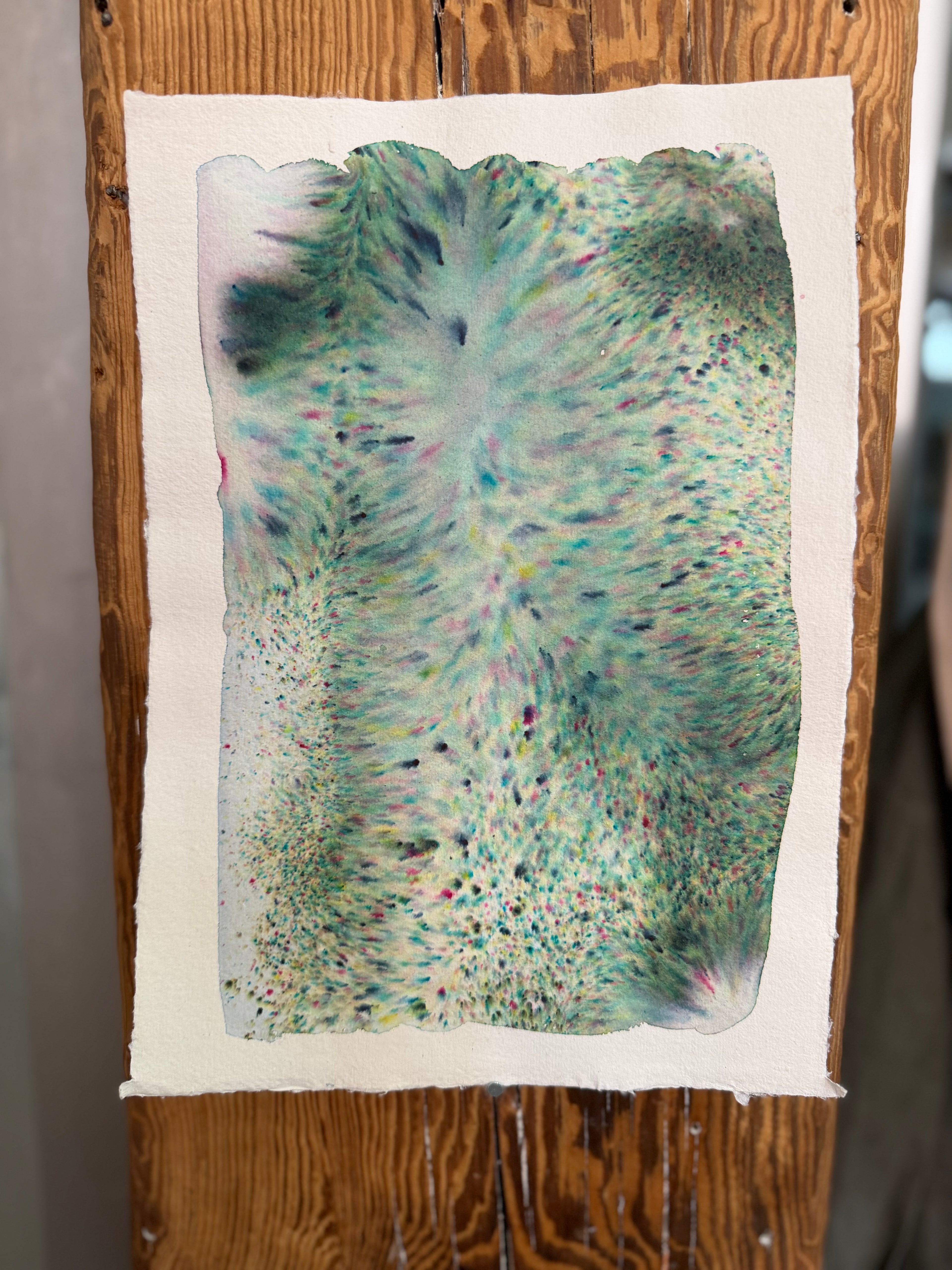 Dye study 12