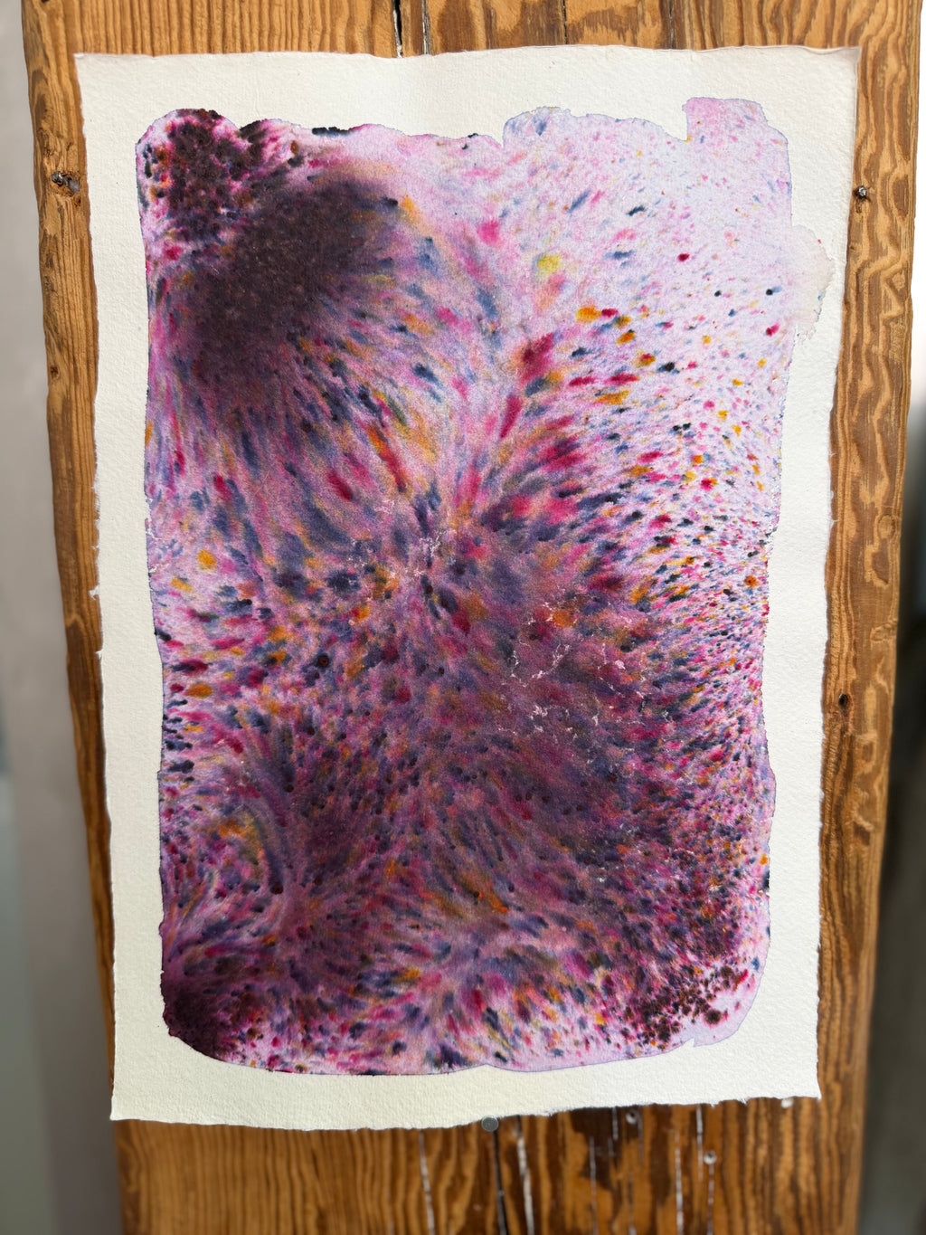 Dye study 14