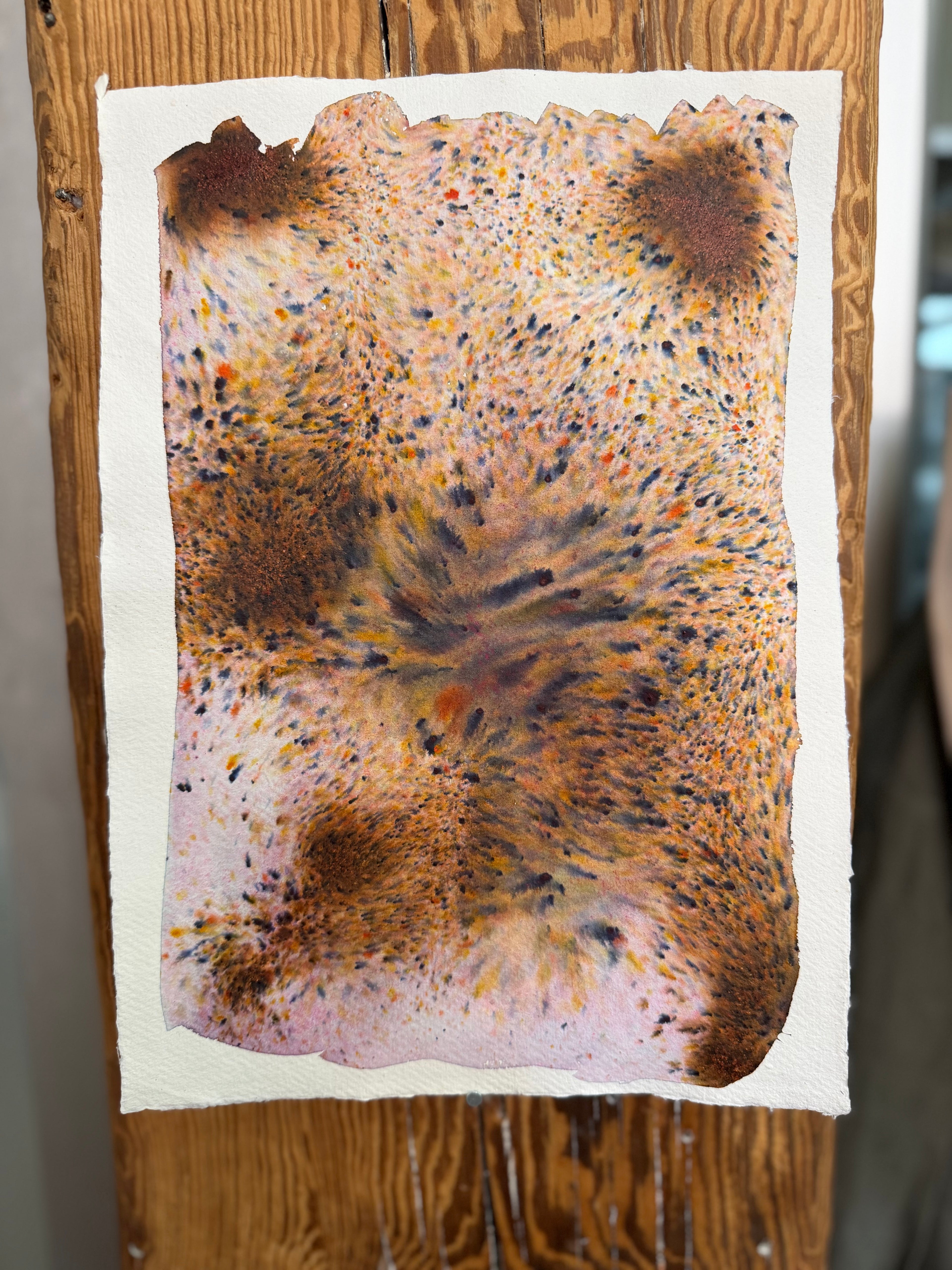 Dye study 15