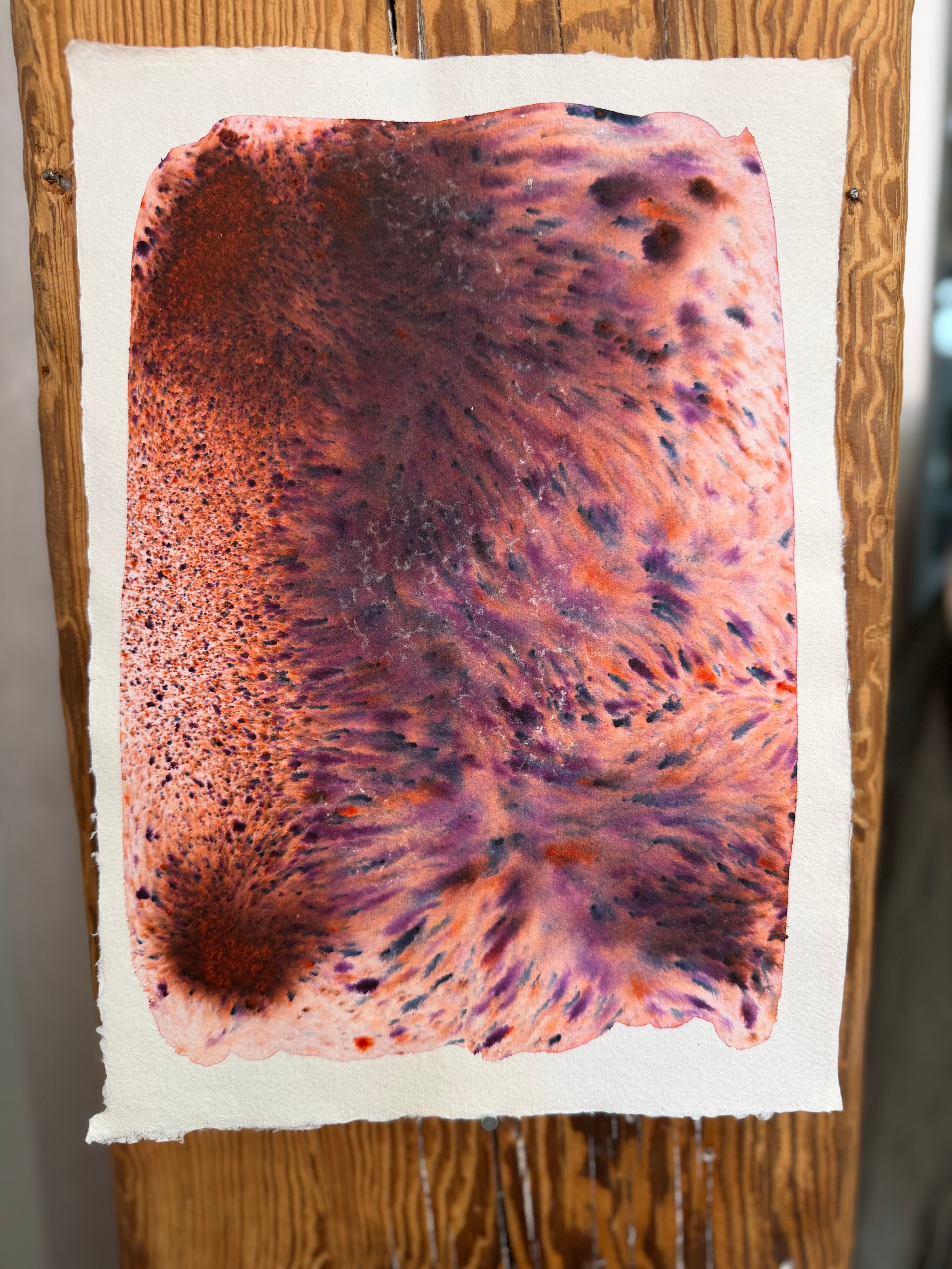 Dye study 17