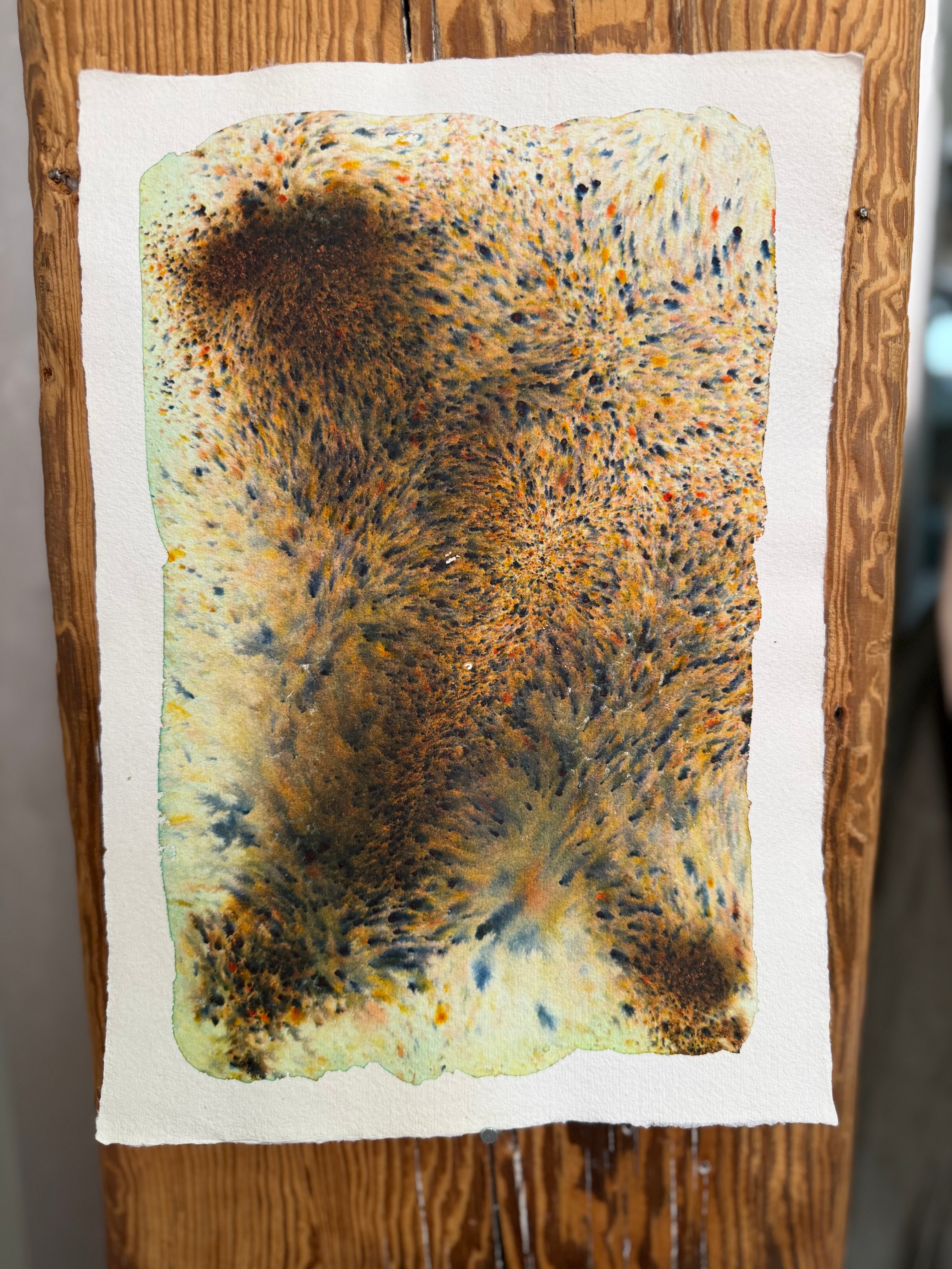 Dye study 18
