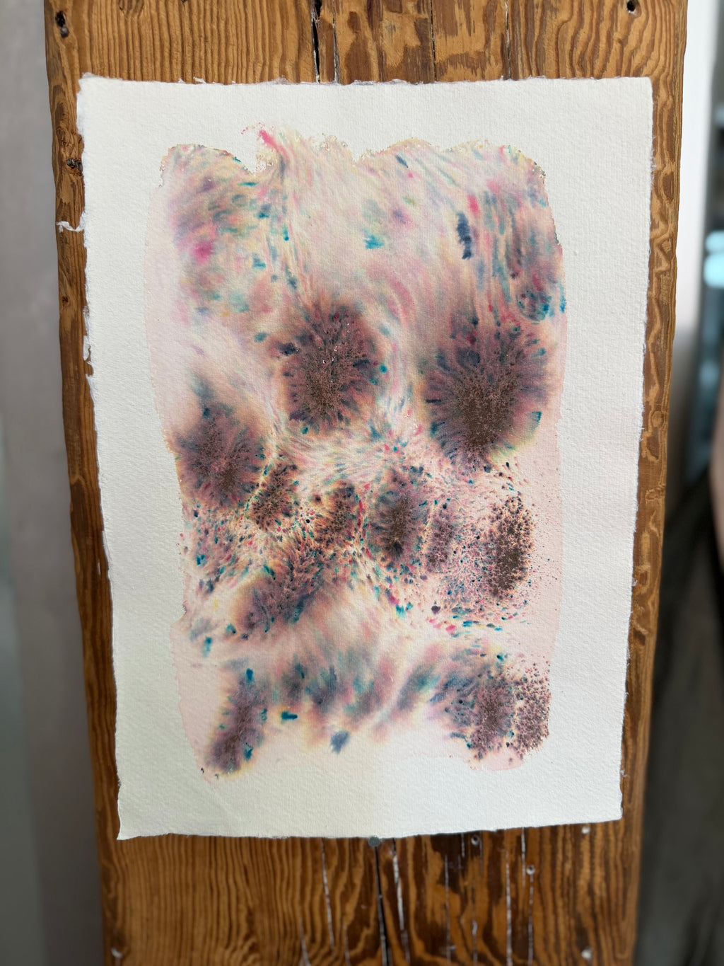 Dye study 19