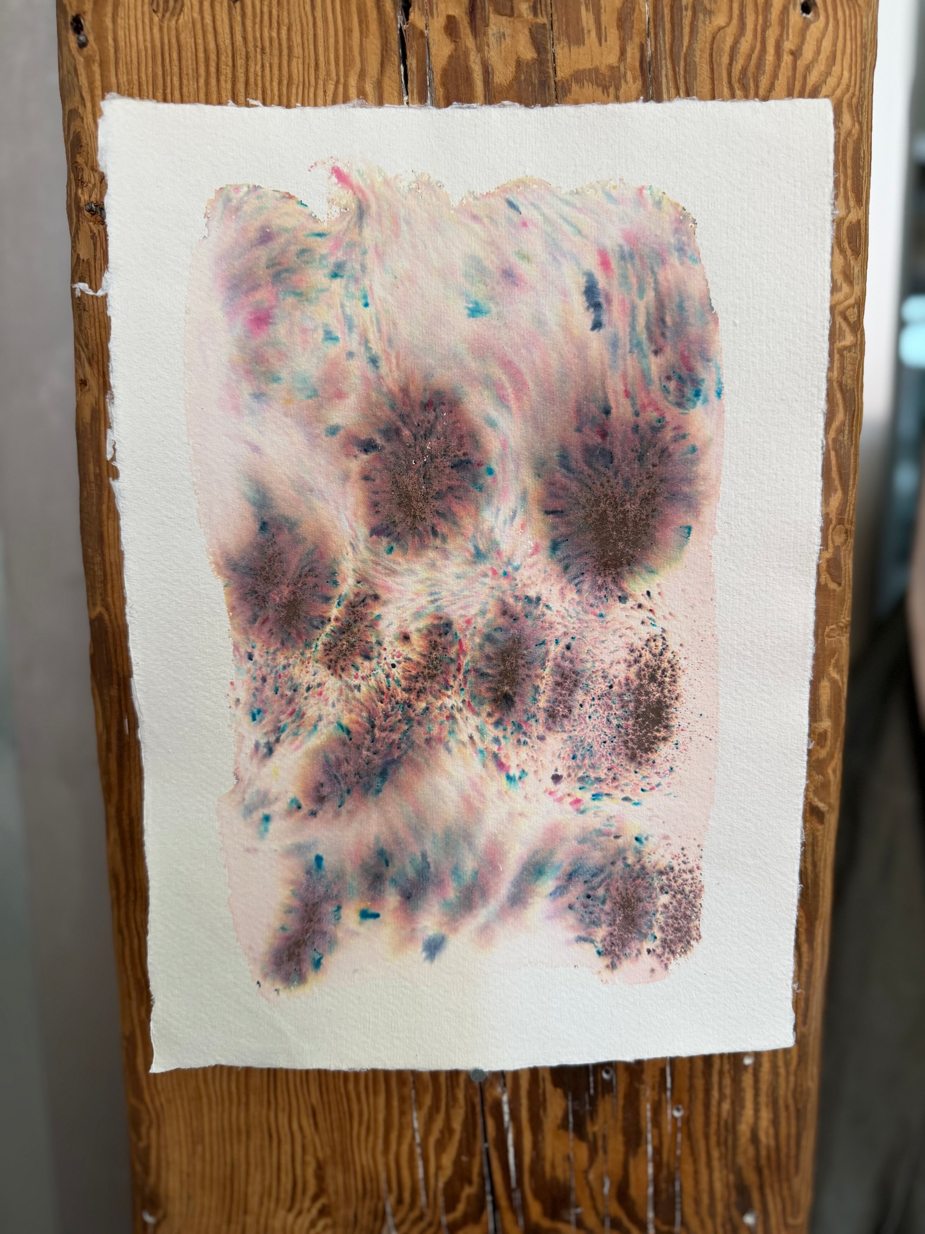 Dye study 19