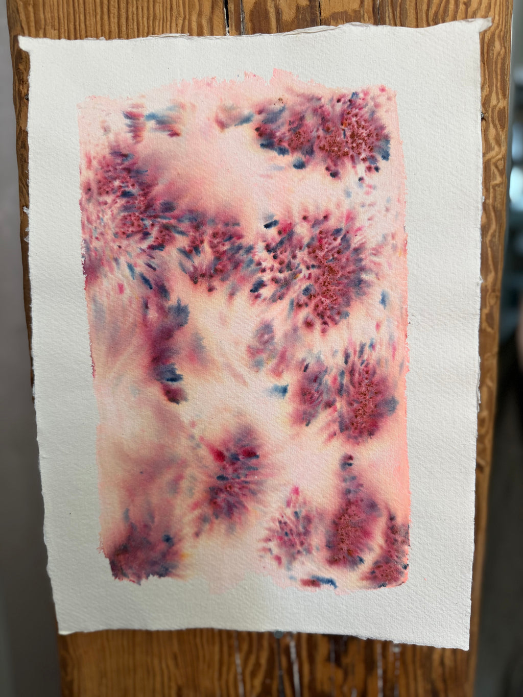 Dye study 20