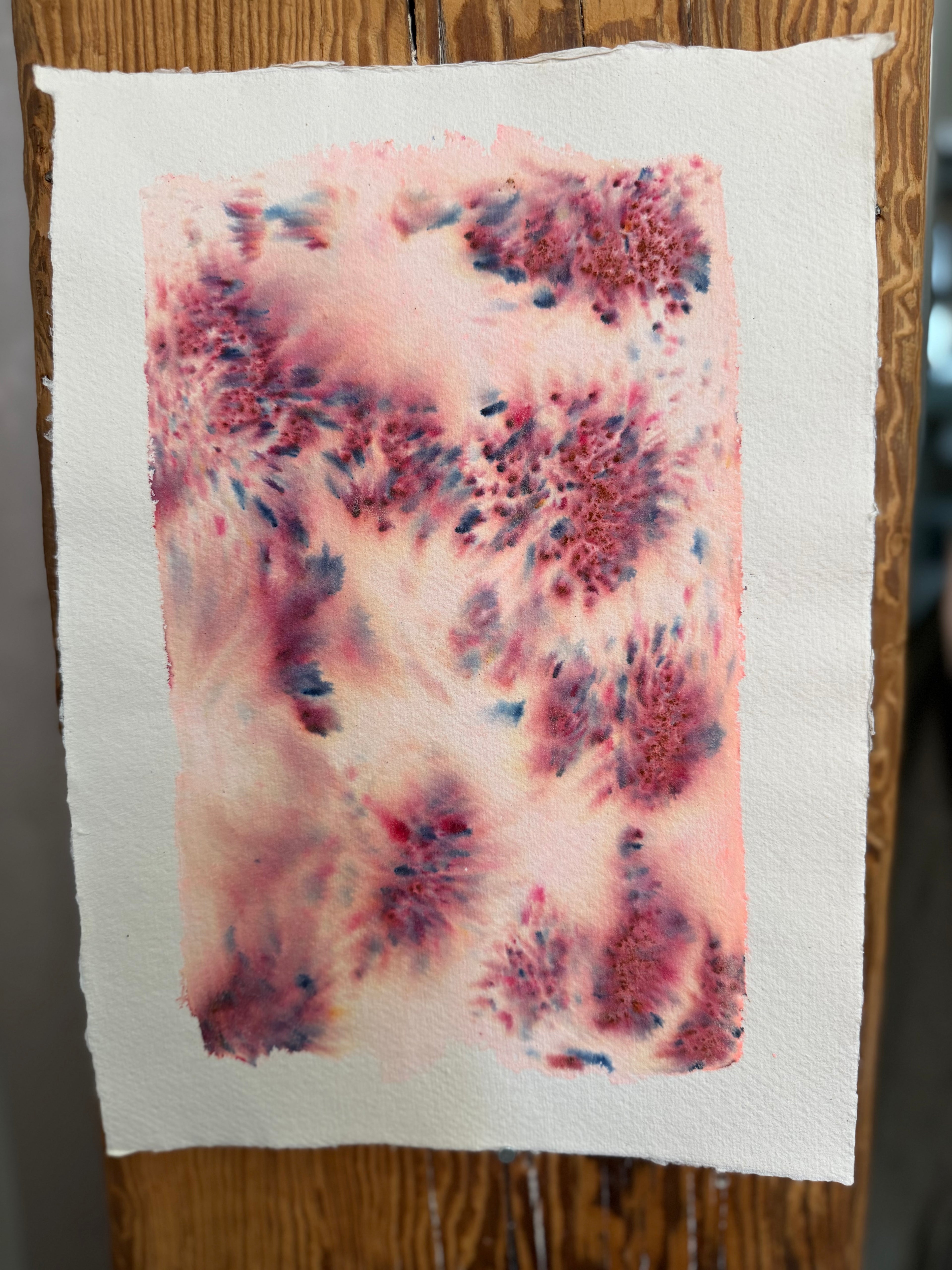 Dye study 20