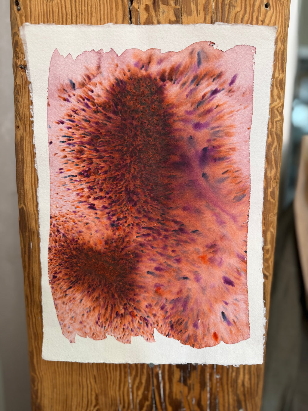 Dye study 21