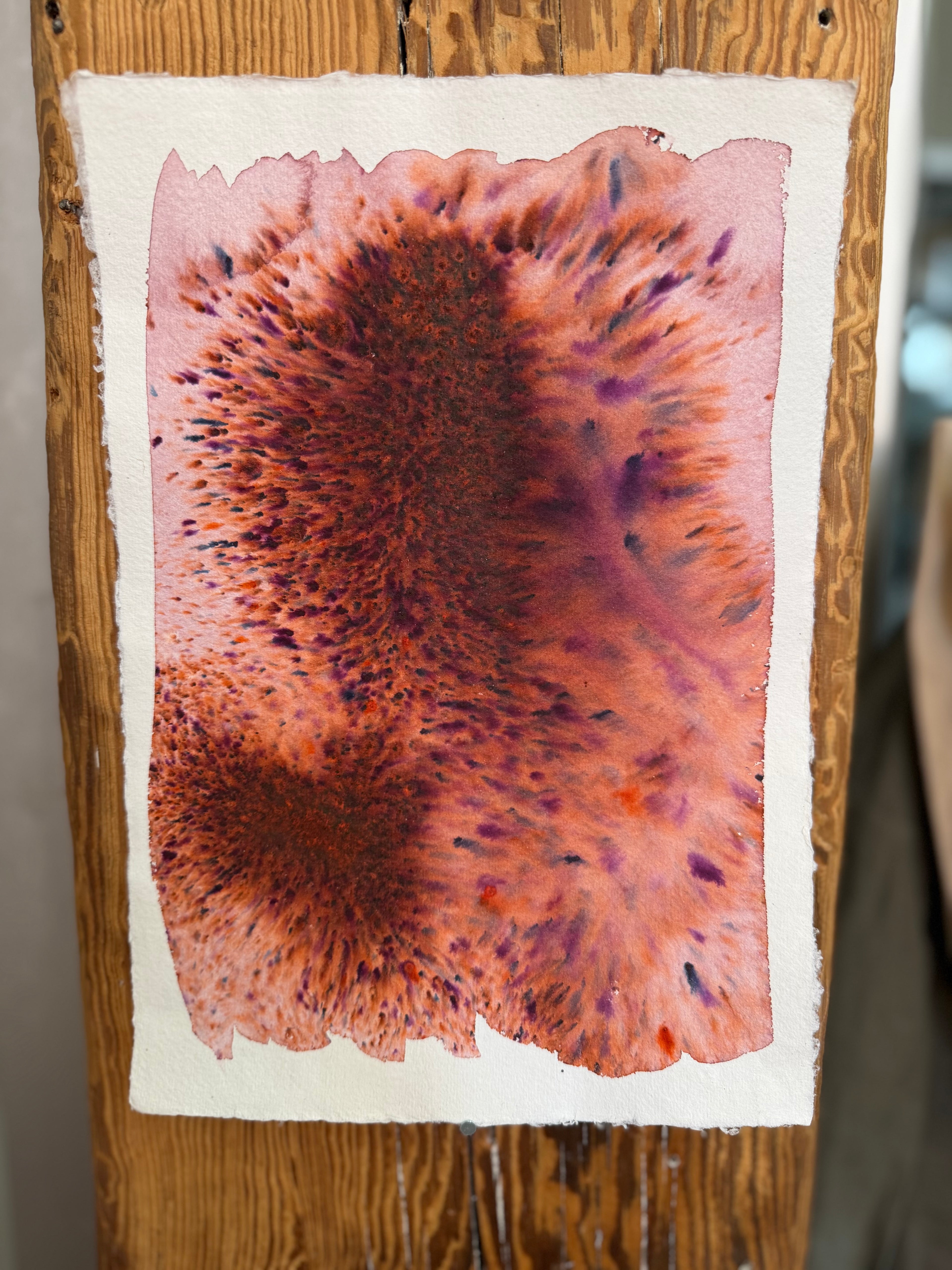 Dye study 21