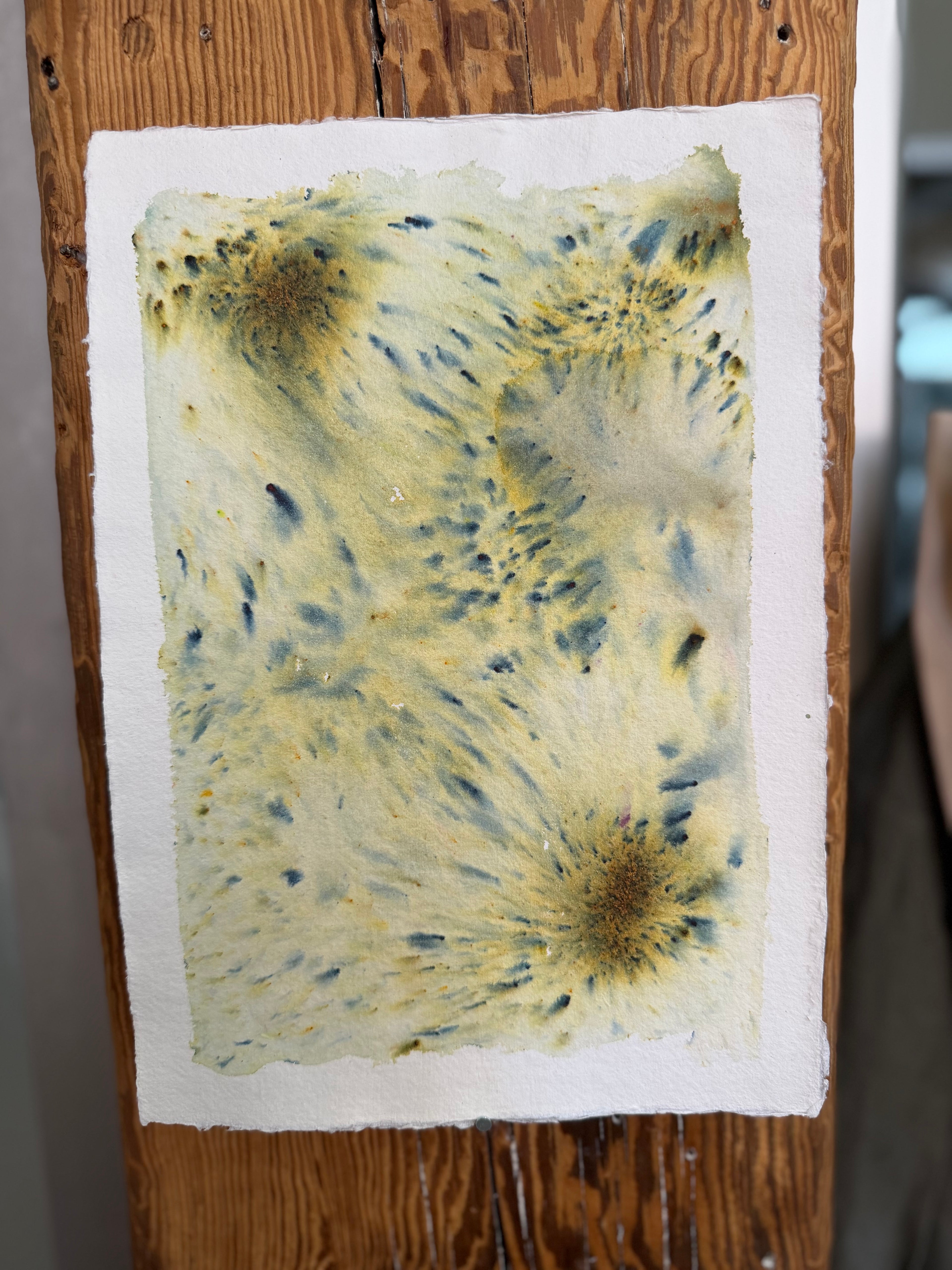 Dye study 22