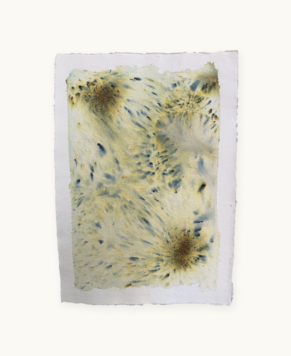 Dye study 22