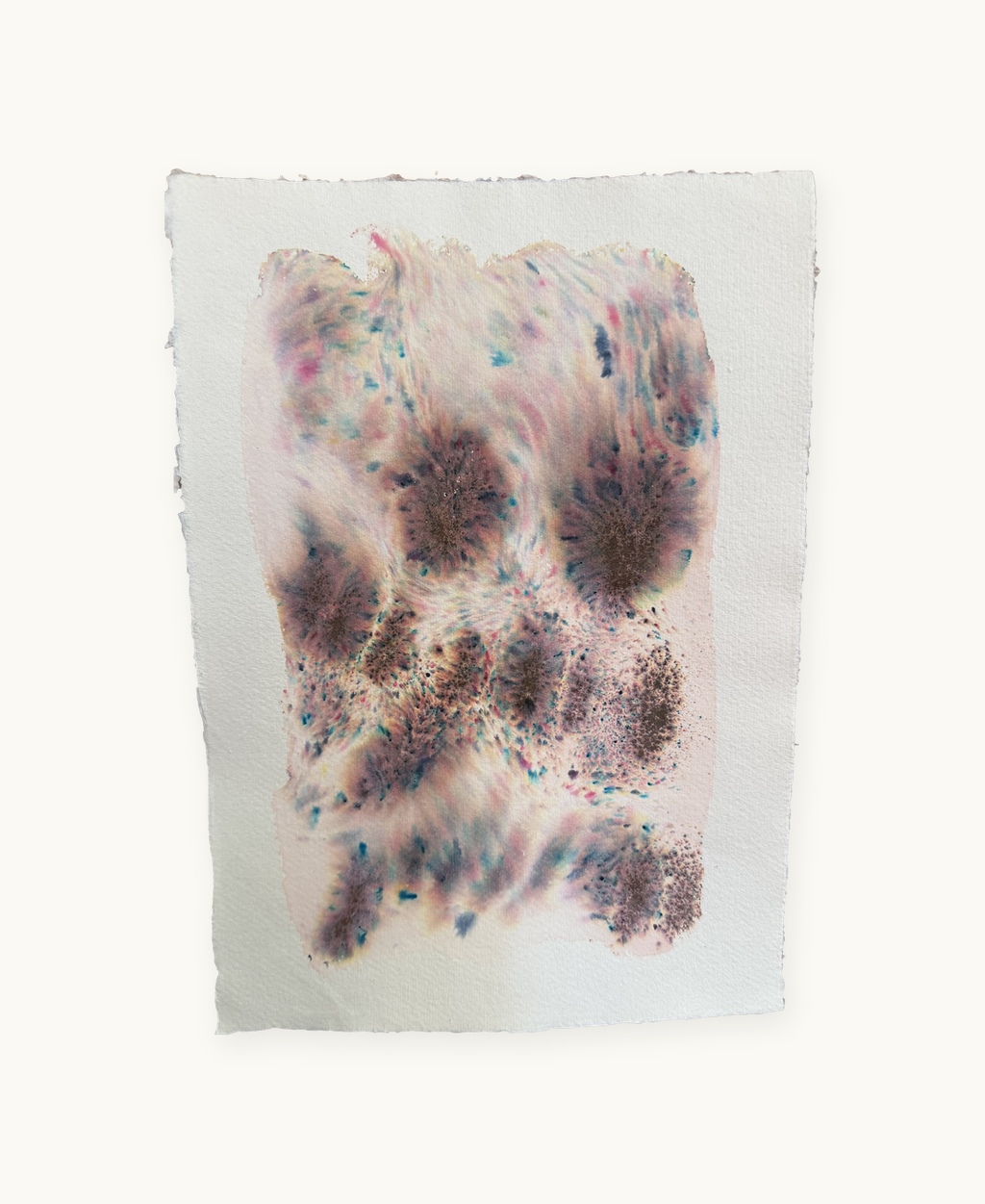 Dye study 19