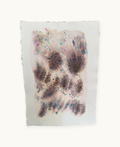 Dye study 19