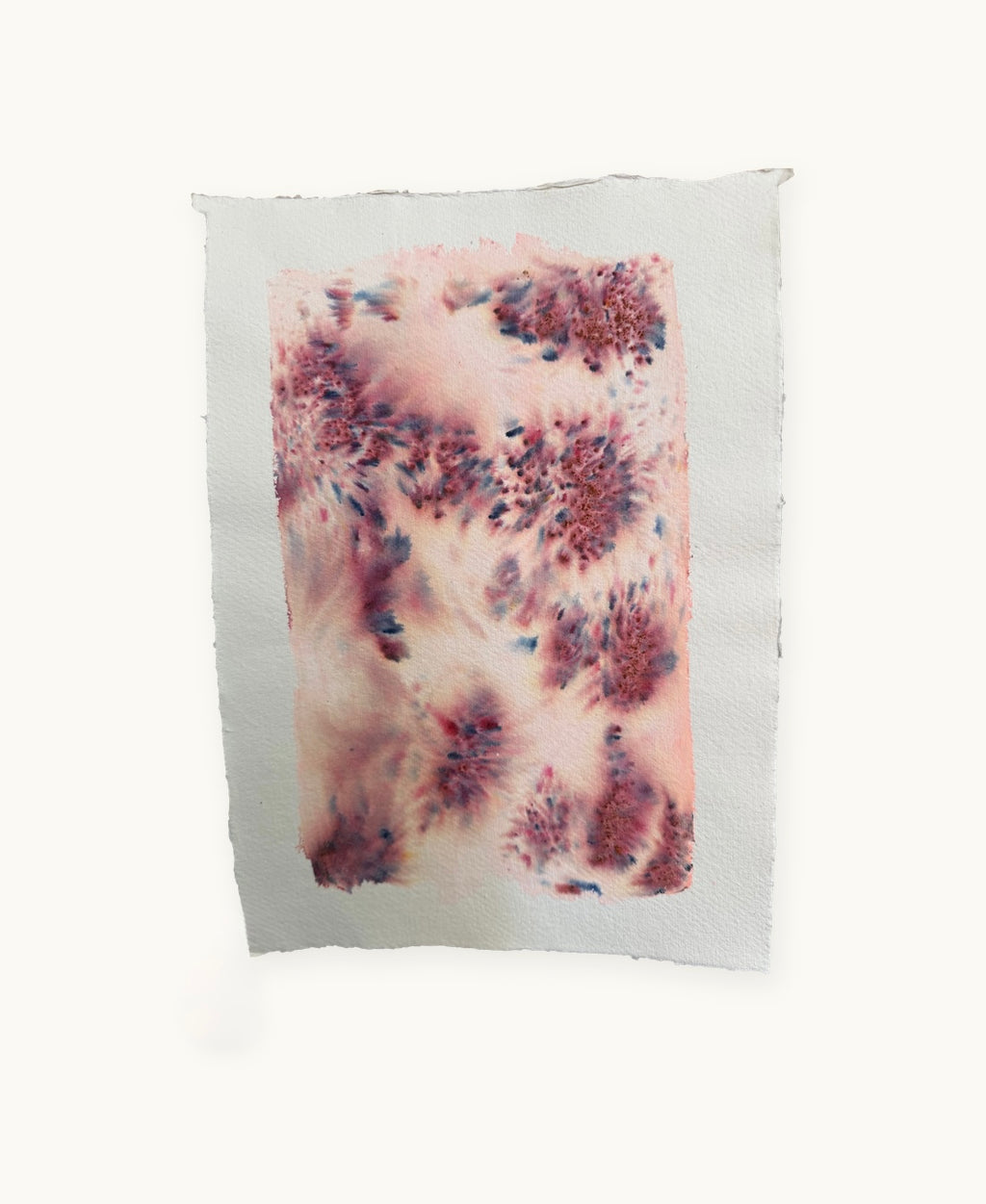 Dye study 20