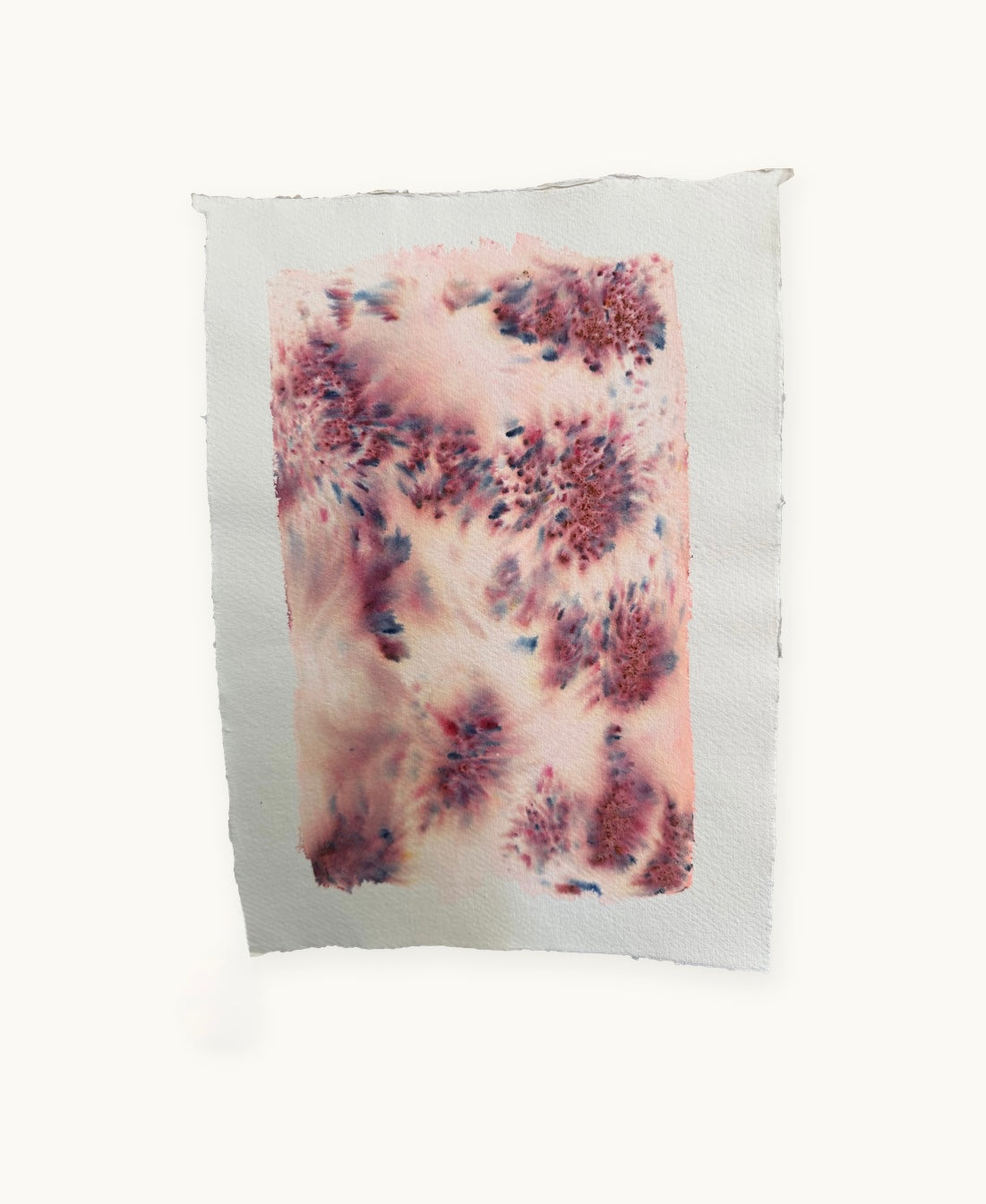 Dye study 20