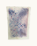 Dye study 2