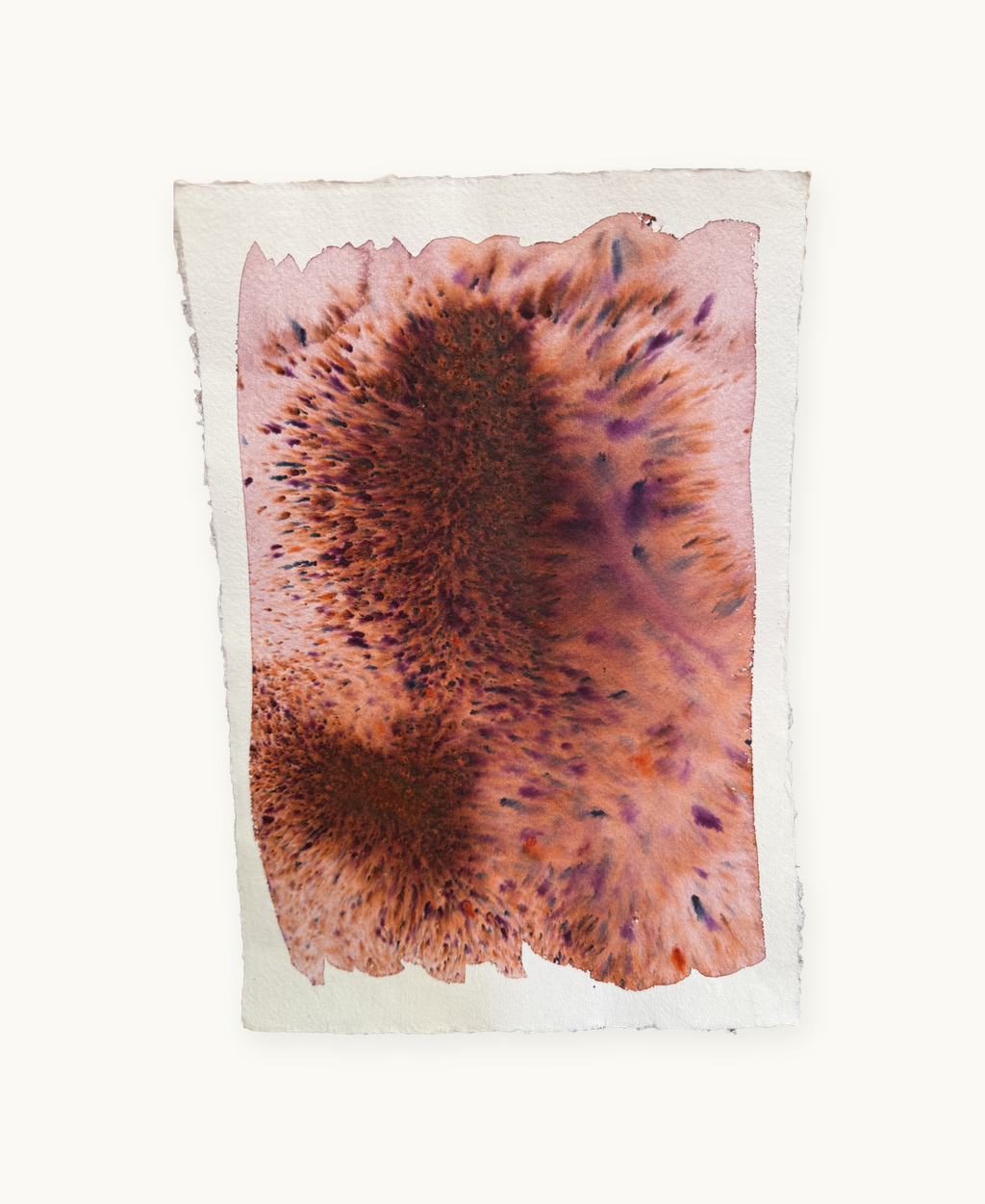 Dye study 21