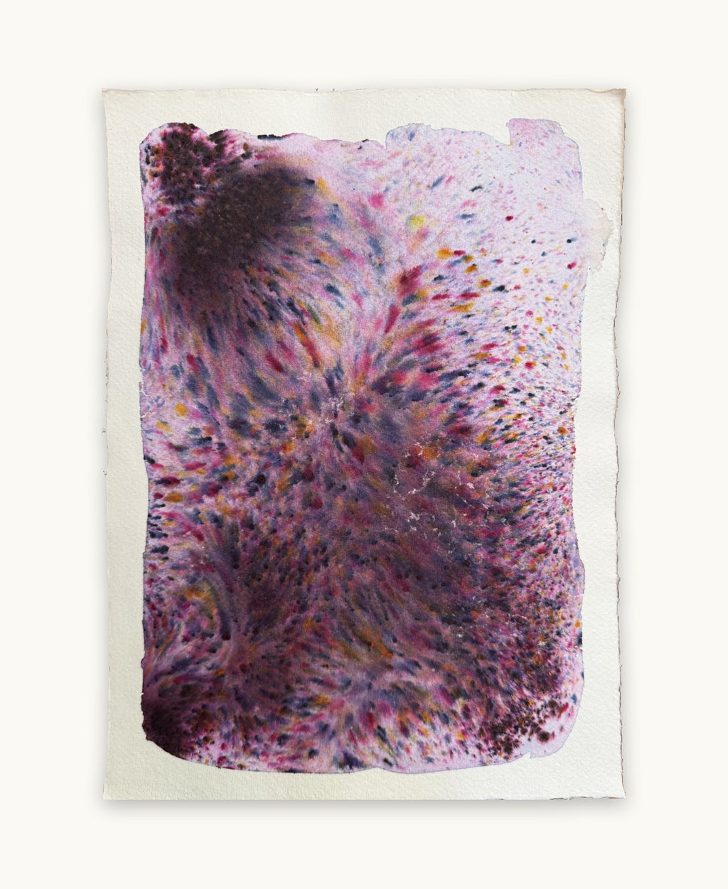 Dye study 14