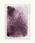 Dye study 14