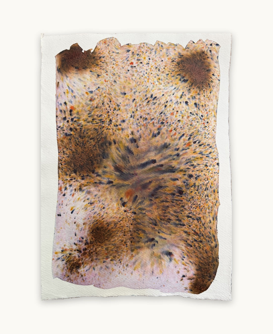 Dye study 15